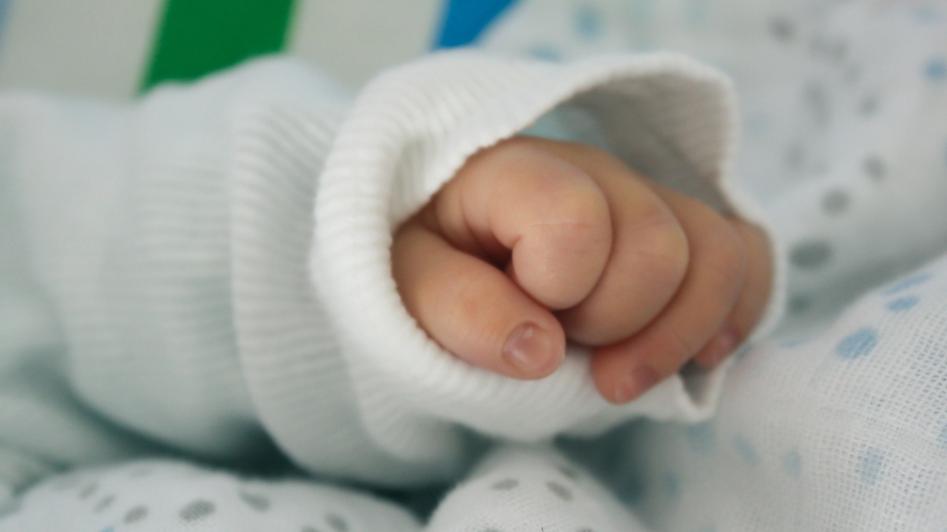 Anche a Piacenza crolla la natalità: -3,9%. In Italia dati al minimo storico