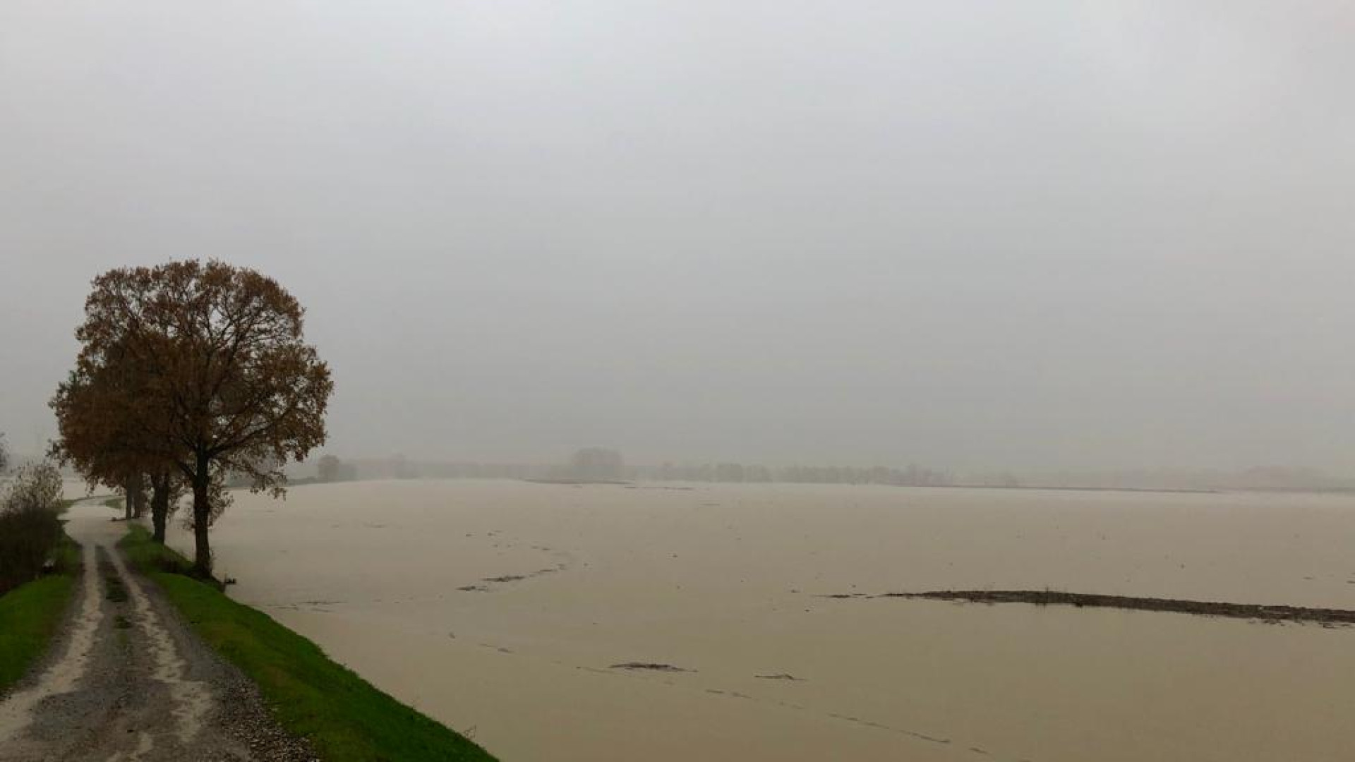 Il Po supera i 6 metri, via Nino Bixio chiusa. La furia della corrente sradica la "casetta" della Map. GUARDA I VIDEO