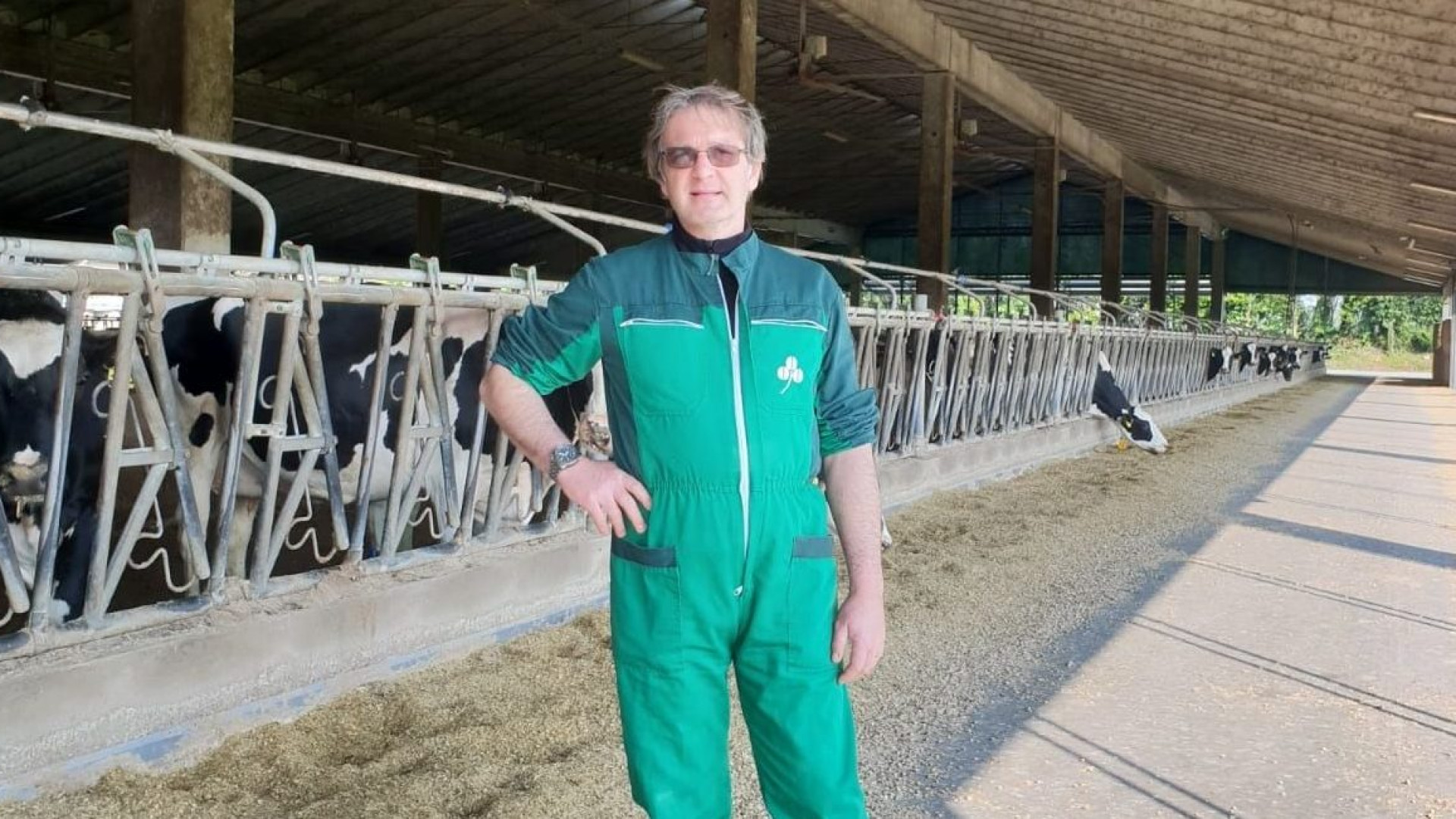 Confagricoltura: "Rincari ed energia, in due anni chiusi 23 allevamenti bovini e 6 suini"