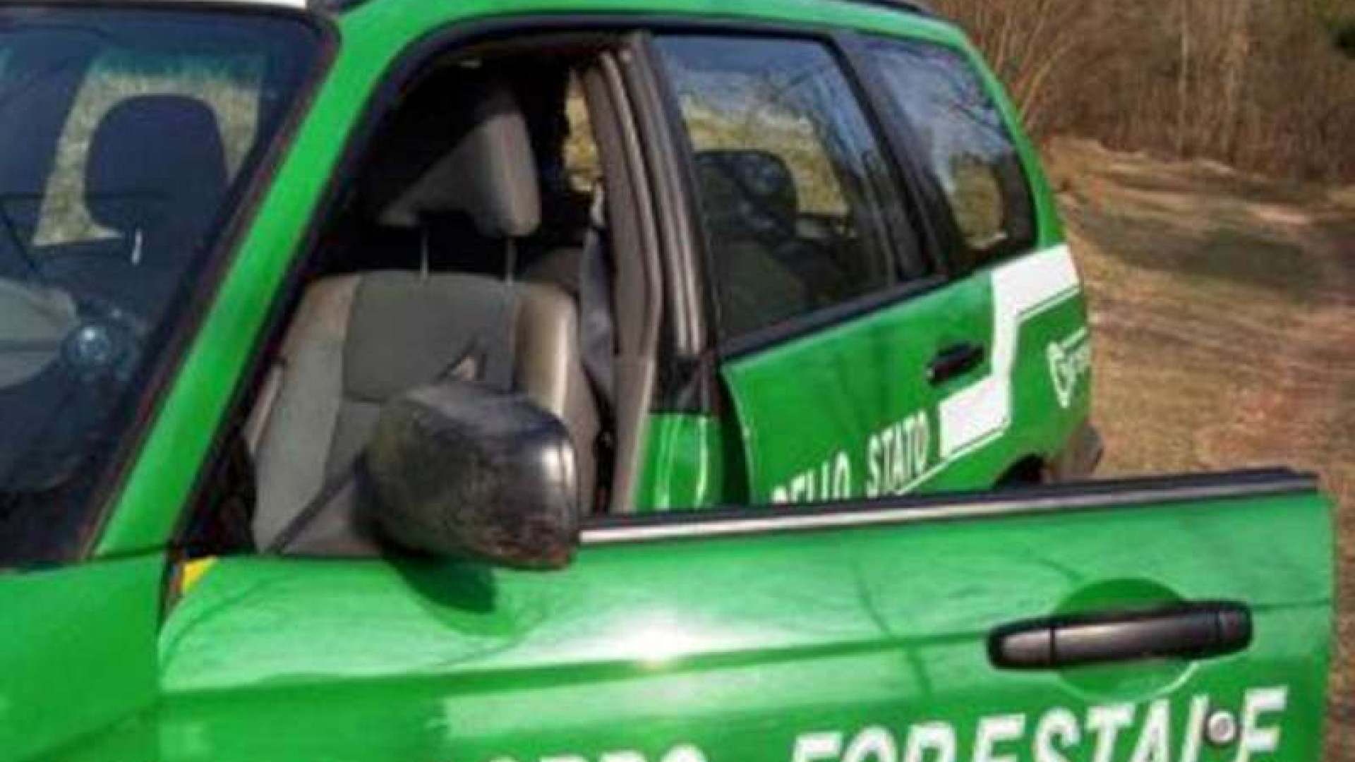 "Il vicino mi ha ucciso il cane a bastonate". Denuncia choc
