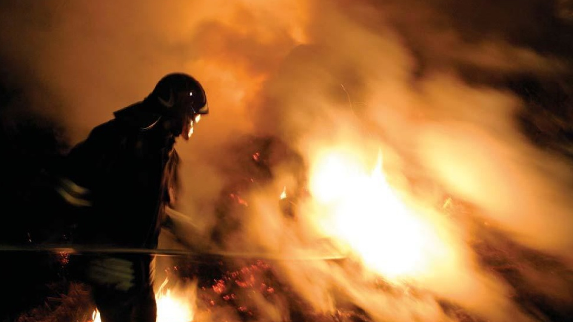 Cascinale e stalla prendono fuoco: nell'incendio muoiono diversi bovini