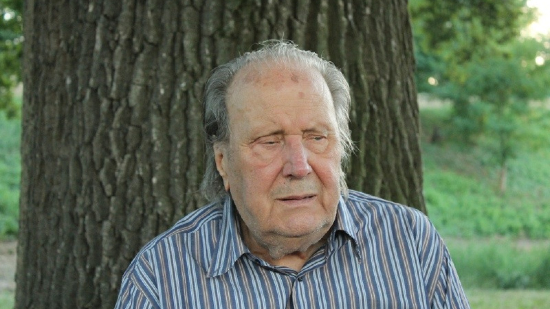 Gastone Biggi in visita a Nonna Quercia:"Sembra la Cupola di Michelangelo"