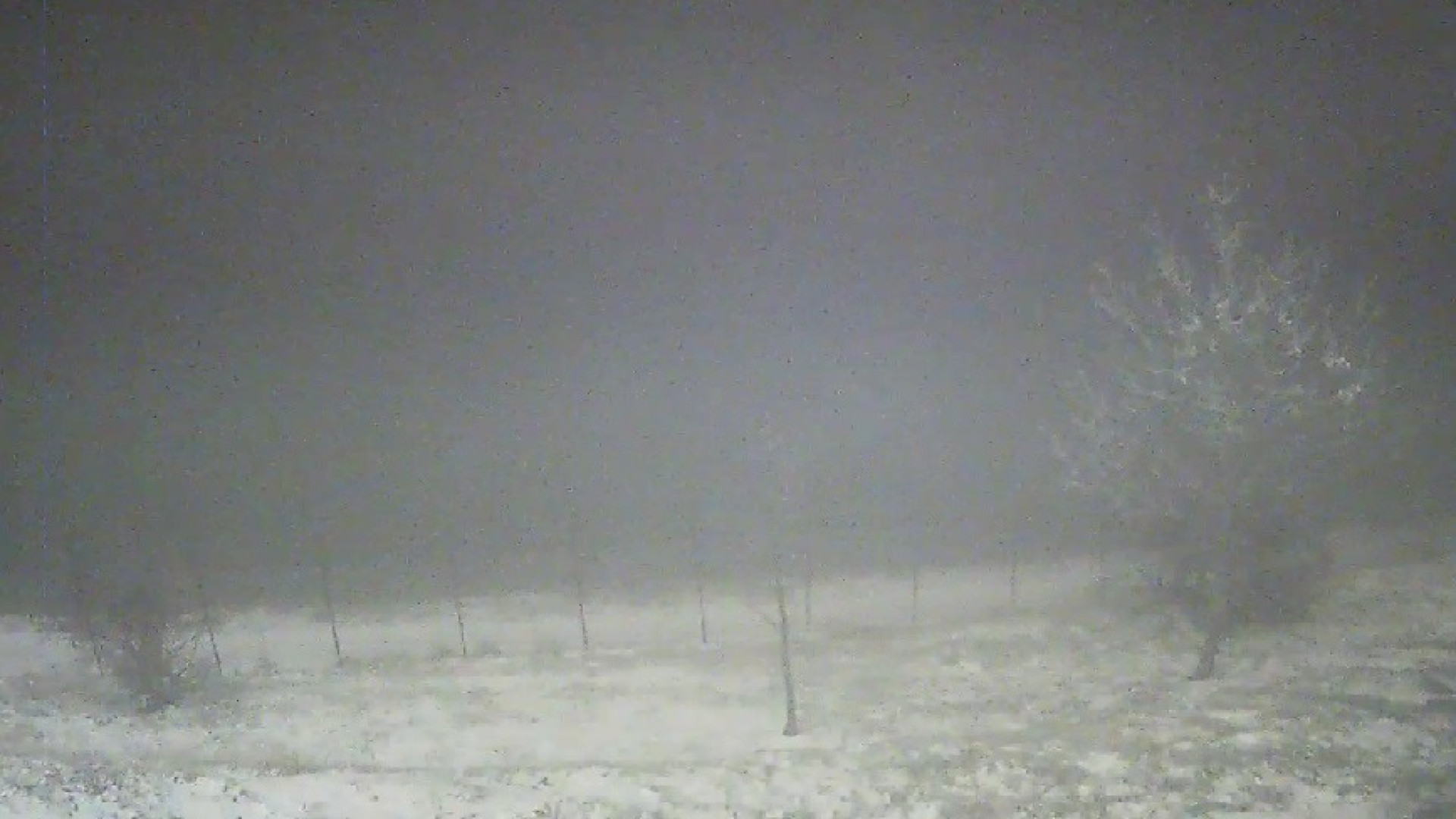 Arrivata la neve in provincia: Penice imbiancato, domani piove