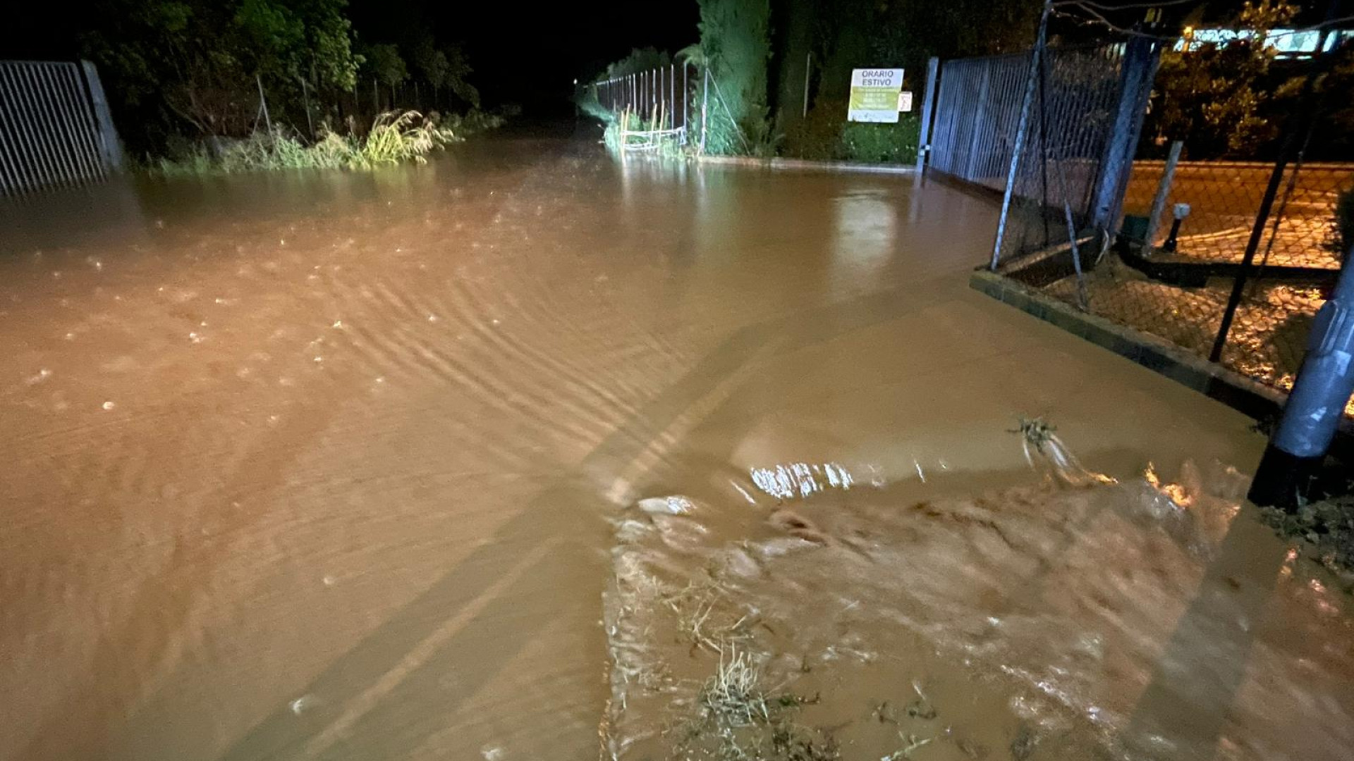 Maltempo nel Piacentino, piante cadute e cantine allagate: pompieri in azione