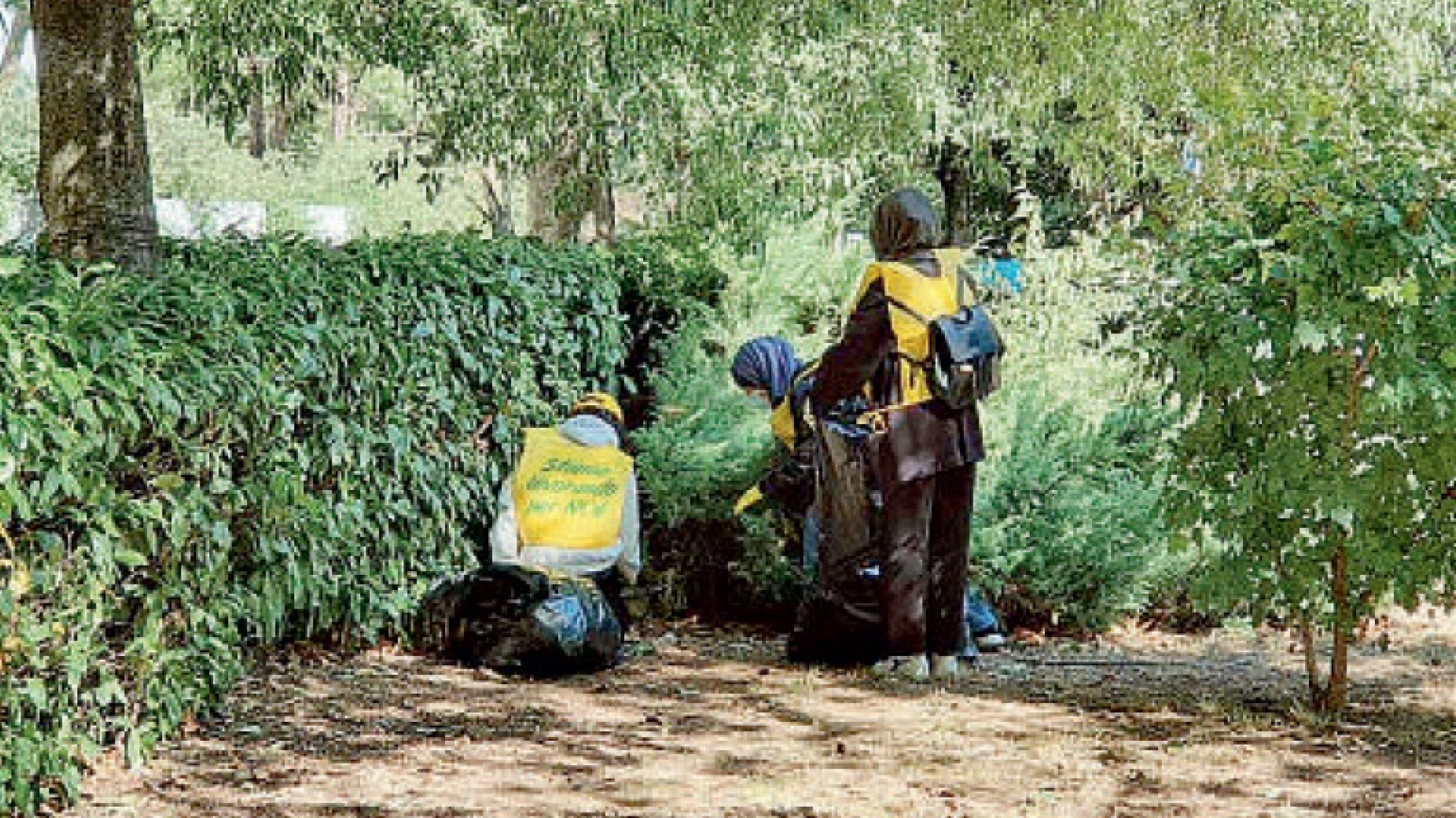 Rifiuti tra i rovi e carcasse di bici: più di 50 cittadini ripuliscono la Farnesiana