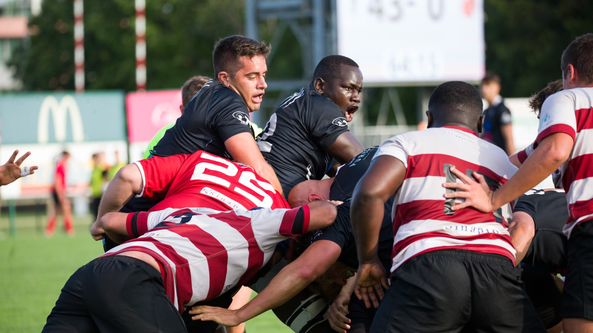 Rugby, domani in casa di Vicenza prima gara di Serie A Elite Cup per i Lyons