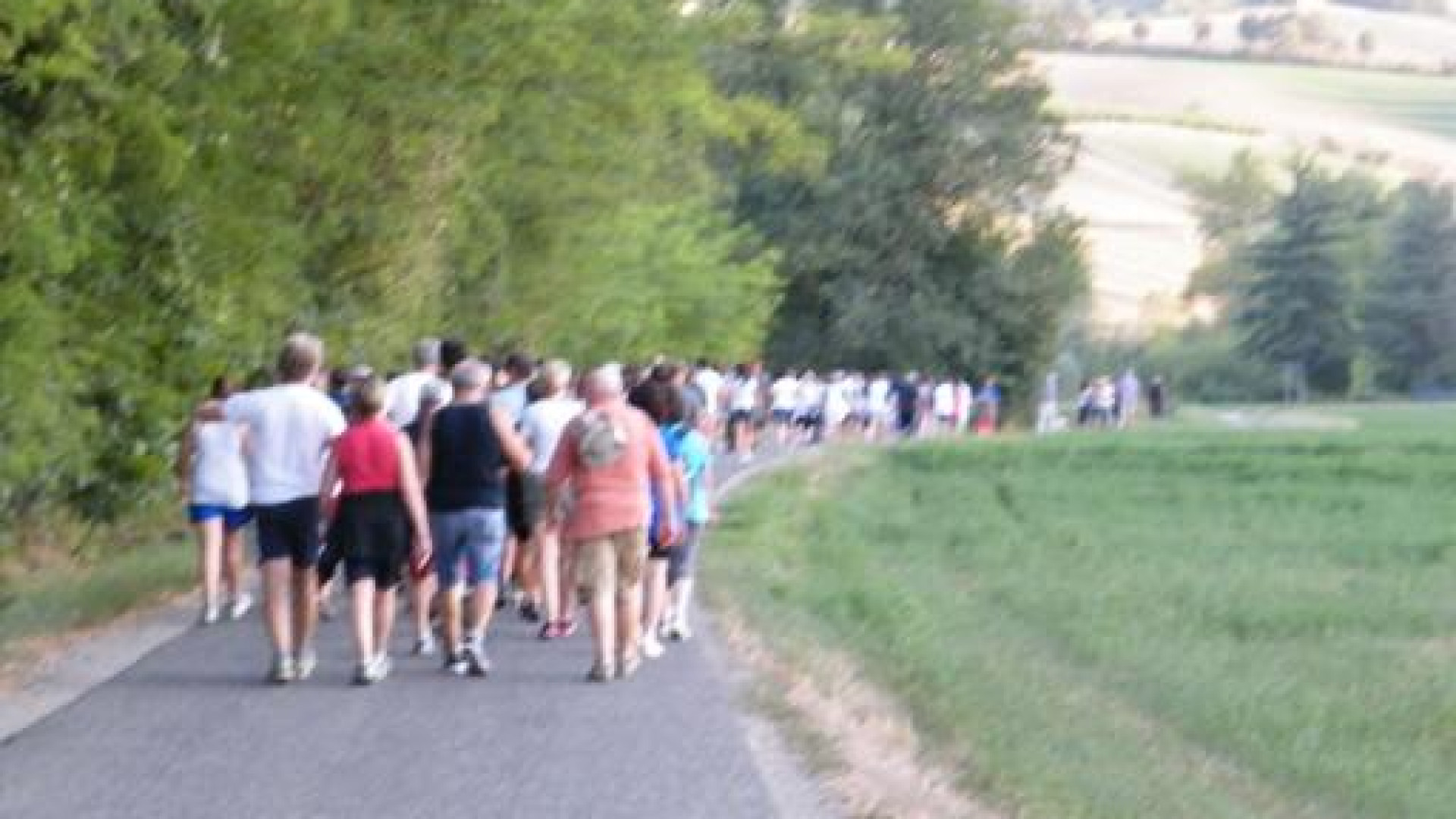 Correre in Libertà: domenica la "Camminata sulle colline di Vigolo"