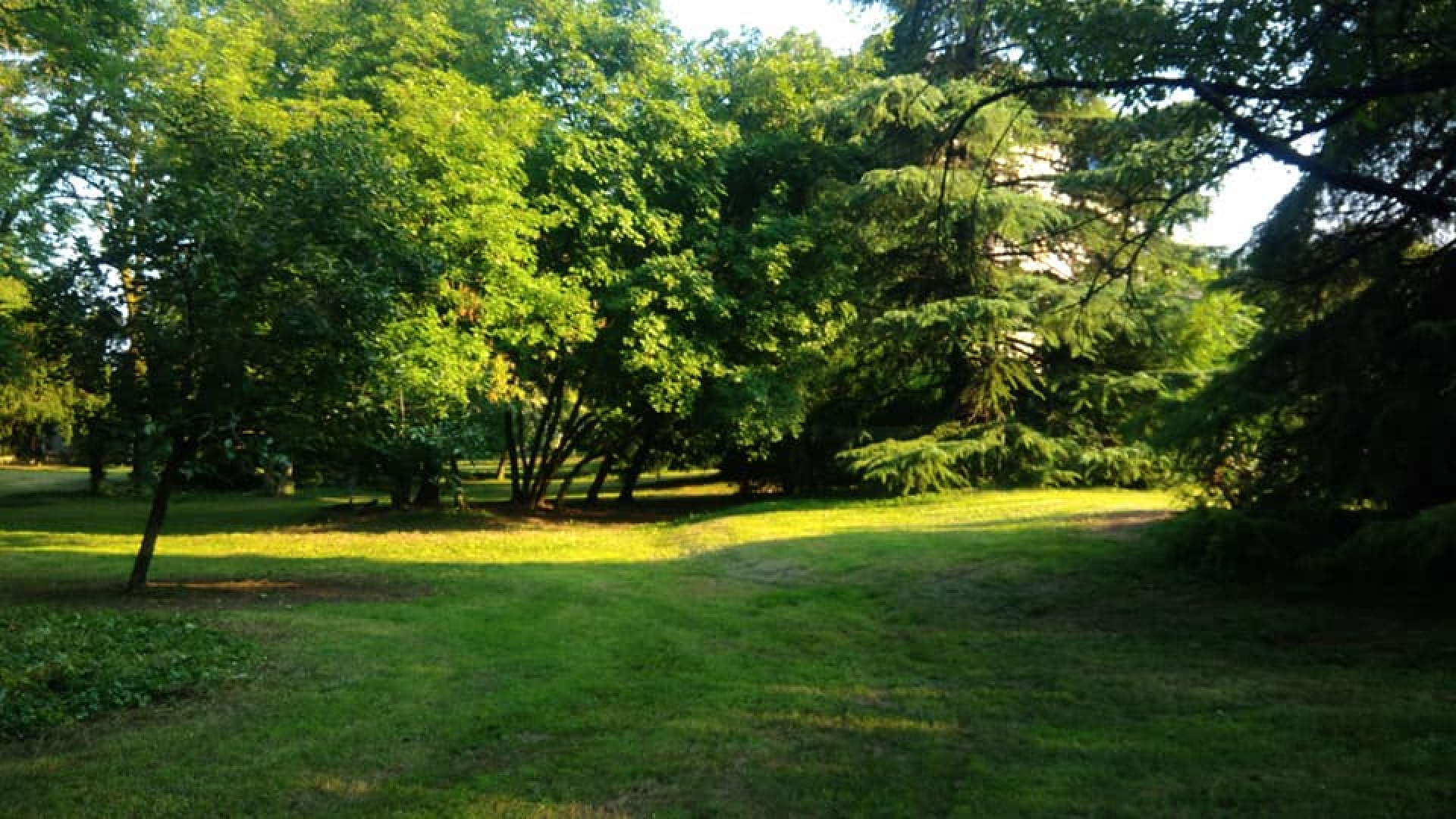 Fiorenzuola, riqualificazione parco "Lucca", il sindaco: "Polmone verde della città"