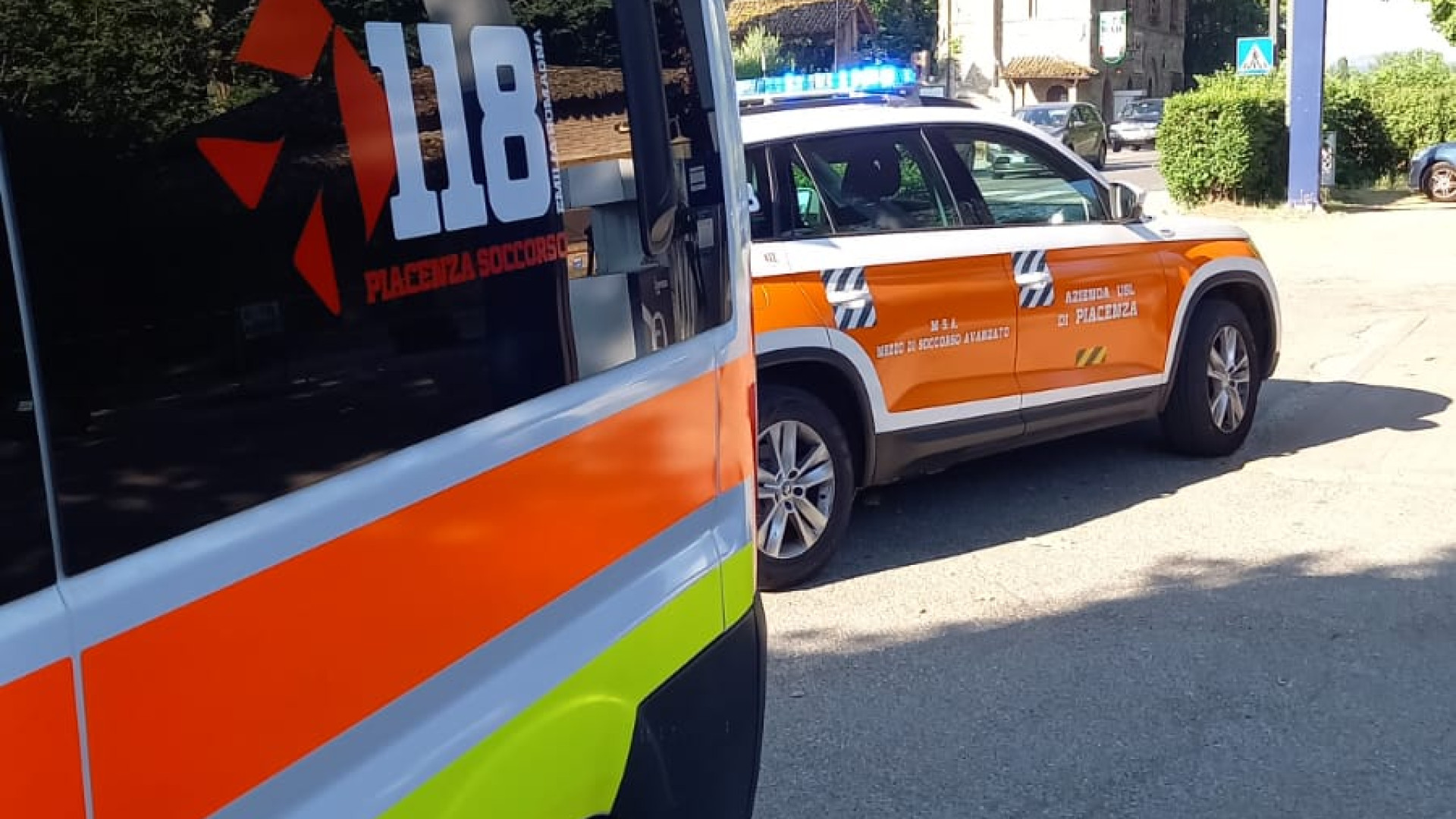Punto da un calabrone in un'azienda vitivinicola ad Albarola, 66enne all'ospedale