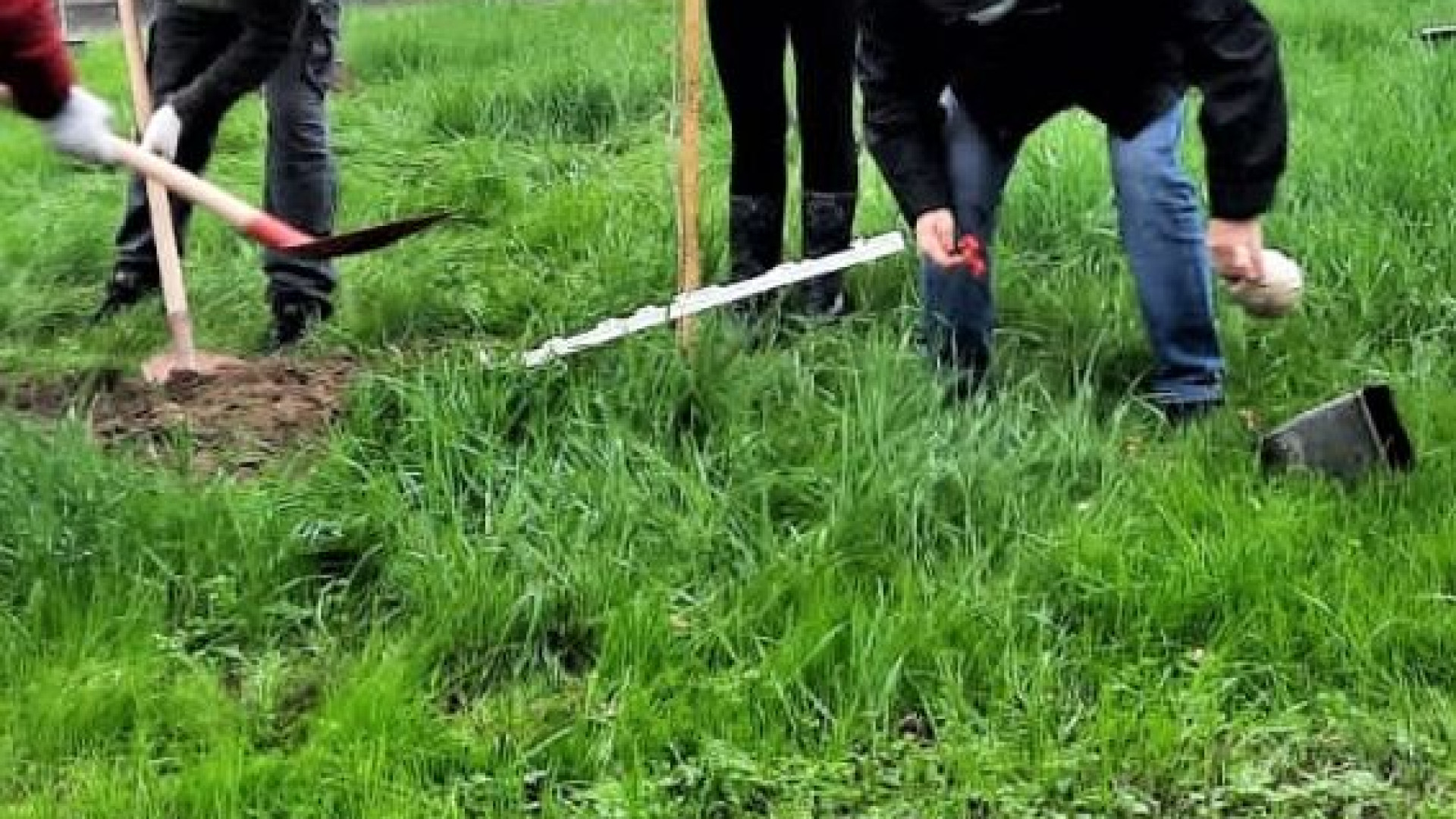 Confapi, Comuni e Provincia uniti per la messa a dimora di nuovi alberi
