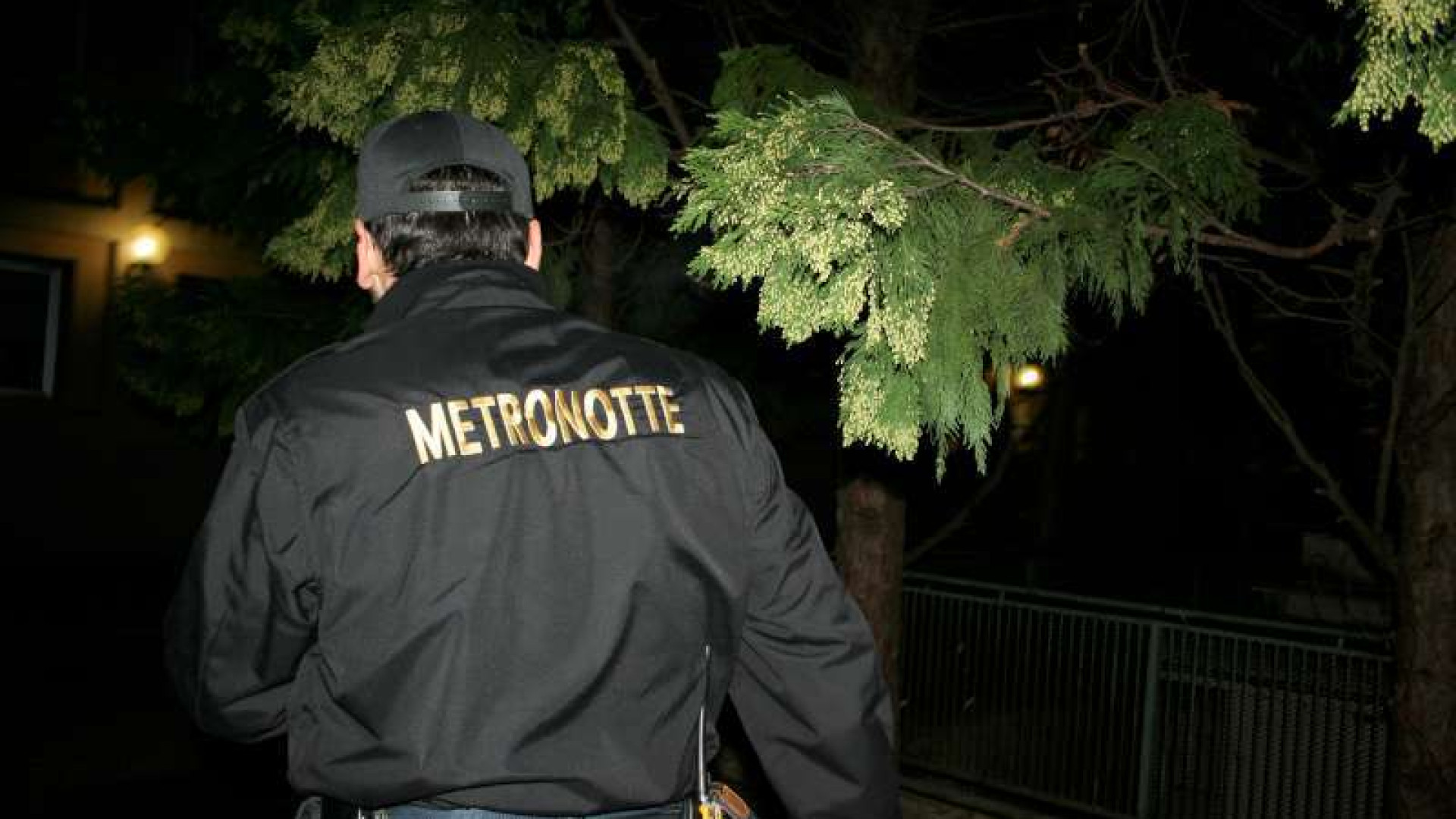 Stremato e zoppicante in mezzo alla strada, cane salvato dai Metronotte