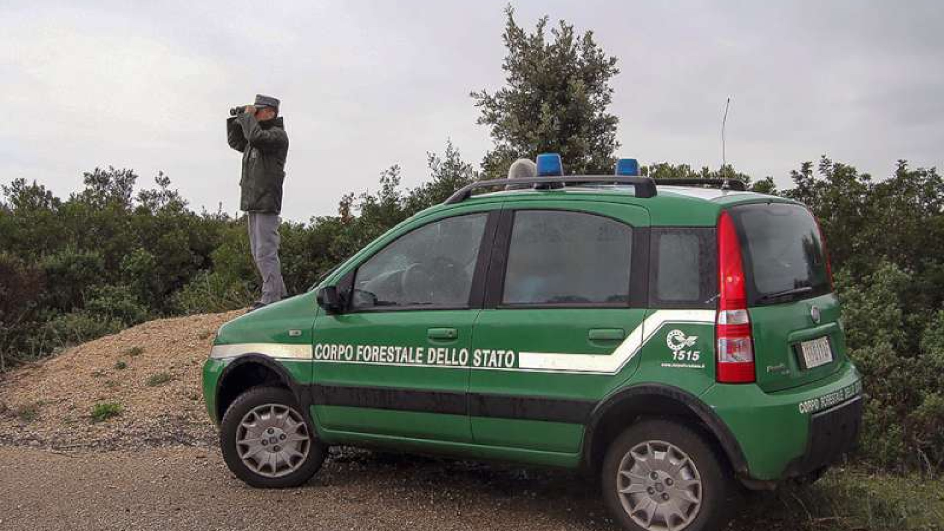 Rifiuti tossici macinati, al posto della ghiaia da cortile. Indaga la Forestale