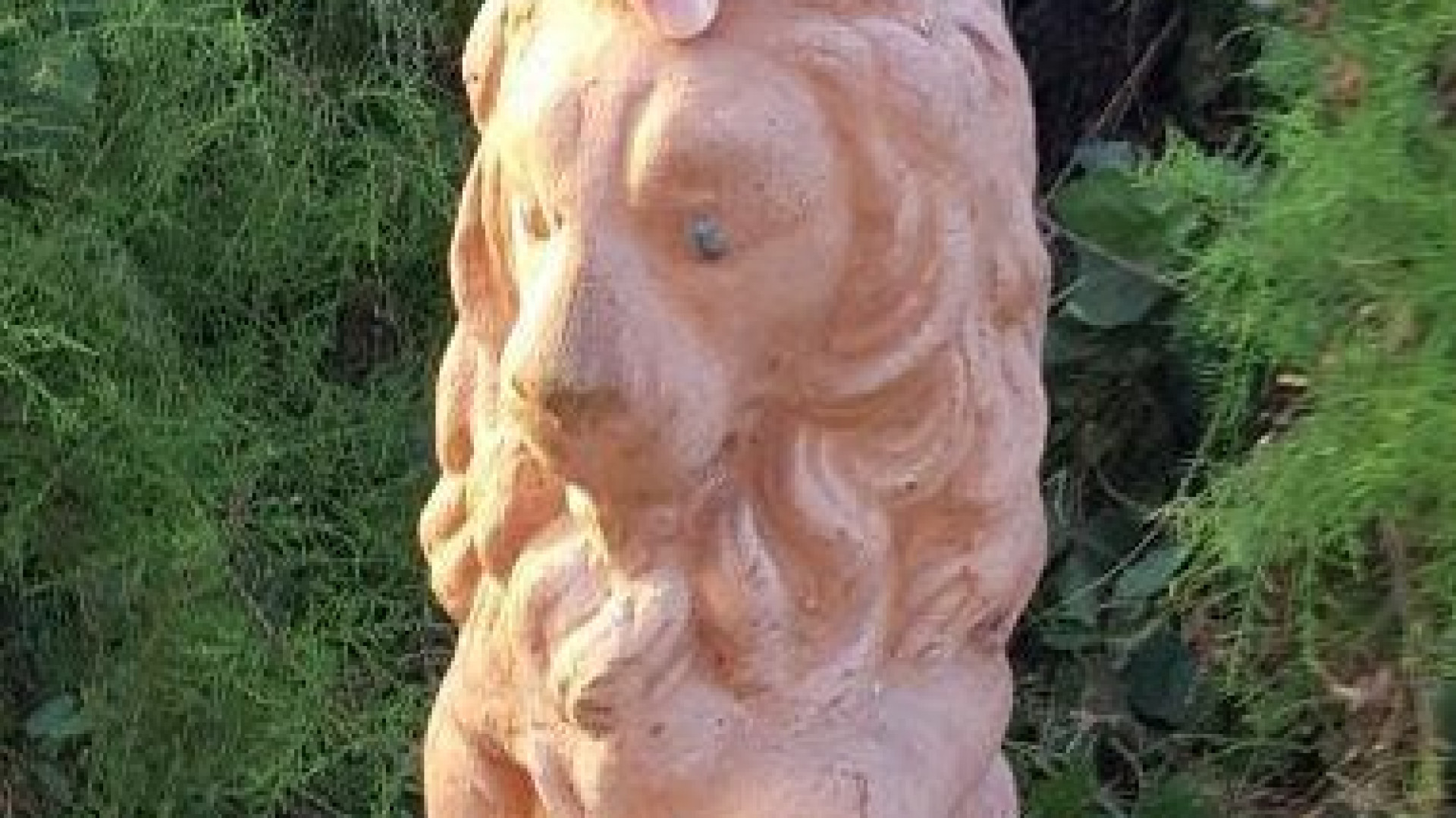 Dalla villa sparisce un leoncino di terracotta, ritrovato in un cespuglio