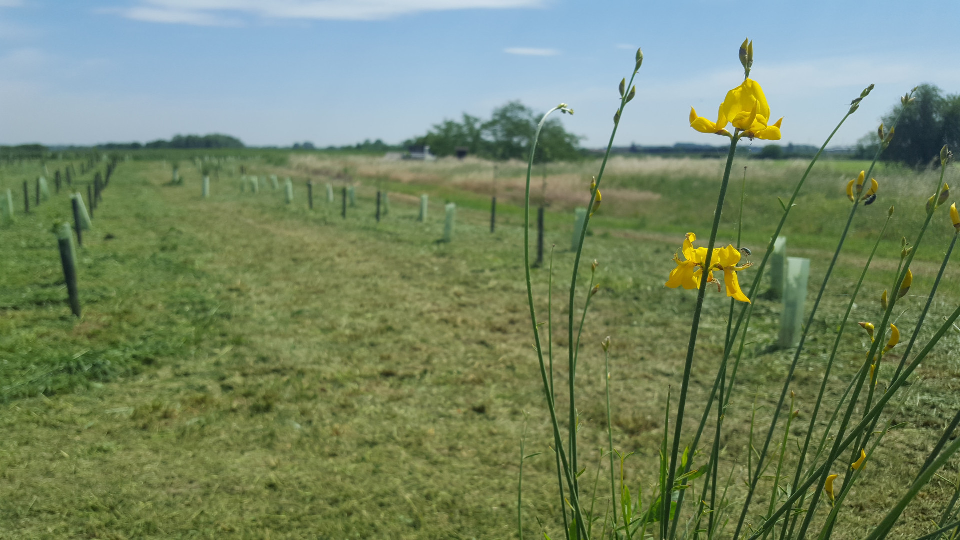 Ecco come è rinato il terreno dove sorgeva la discarica di rifiuti