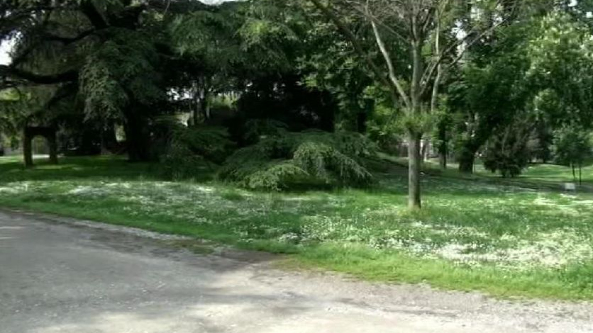 Riqualificazione aree verdi, lavori da via Einaudi all’Infrangibile