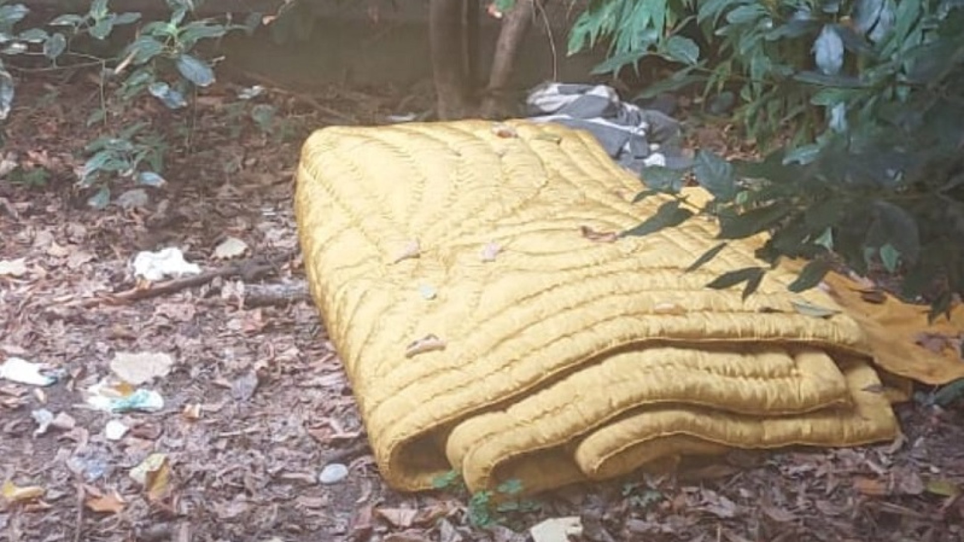 Bivacchi ai giardini di via Beverora. I residenti: "Sono una latrina a cielo aperto"