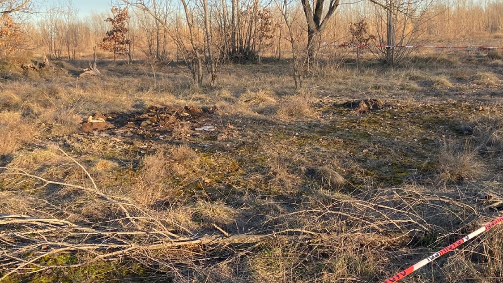Dischi per smerigliatrici abbandonati a Bosco Fornace Vecchia di Podenzano
