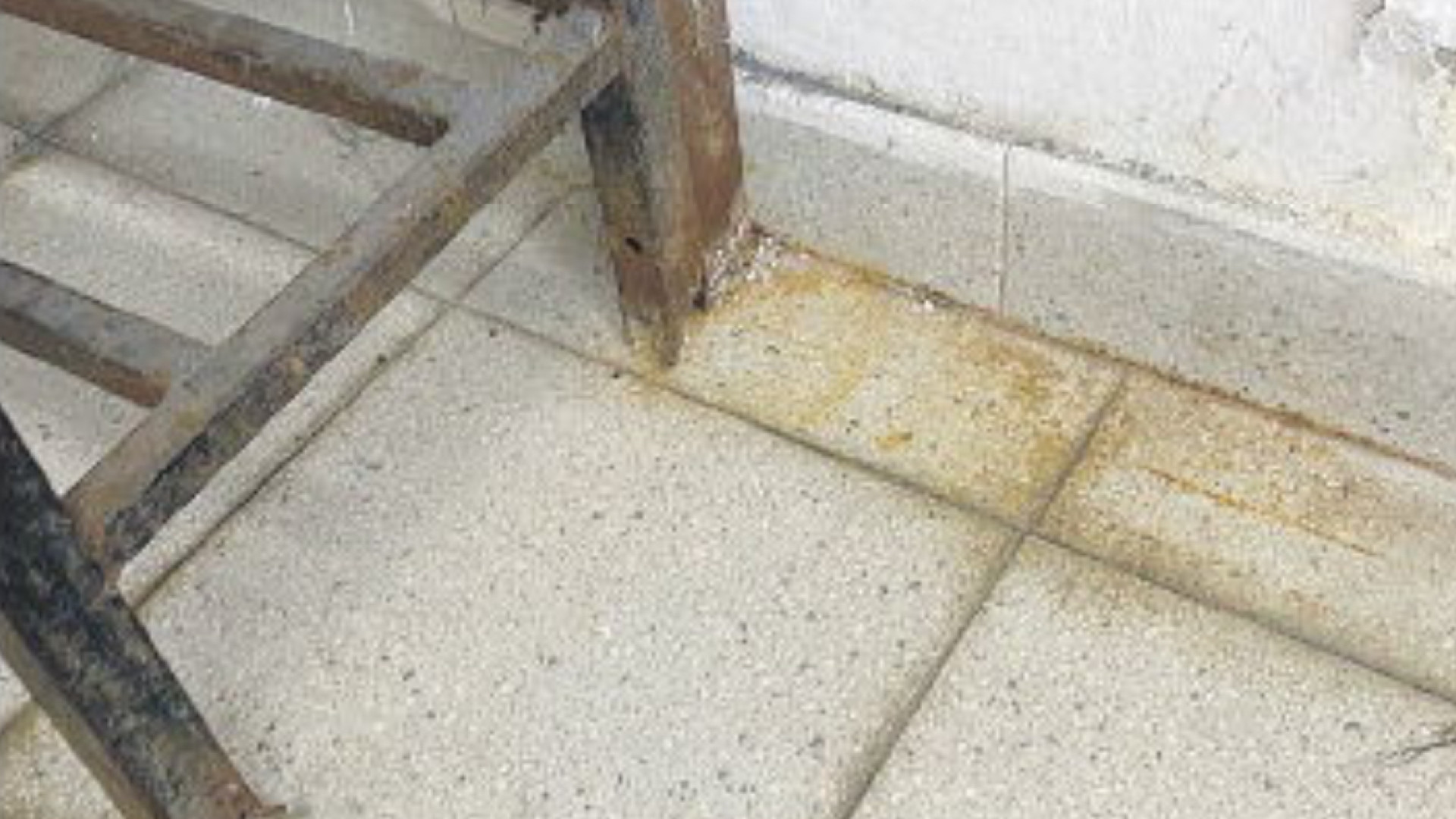 "Bagni inagibili, palestra sporca e fredda", sciopero della ginnastica al Cassinari