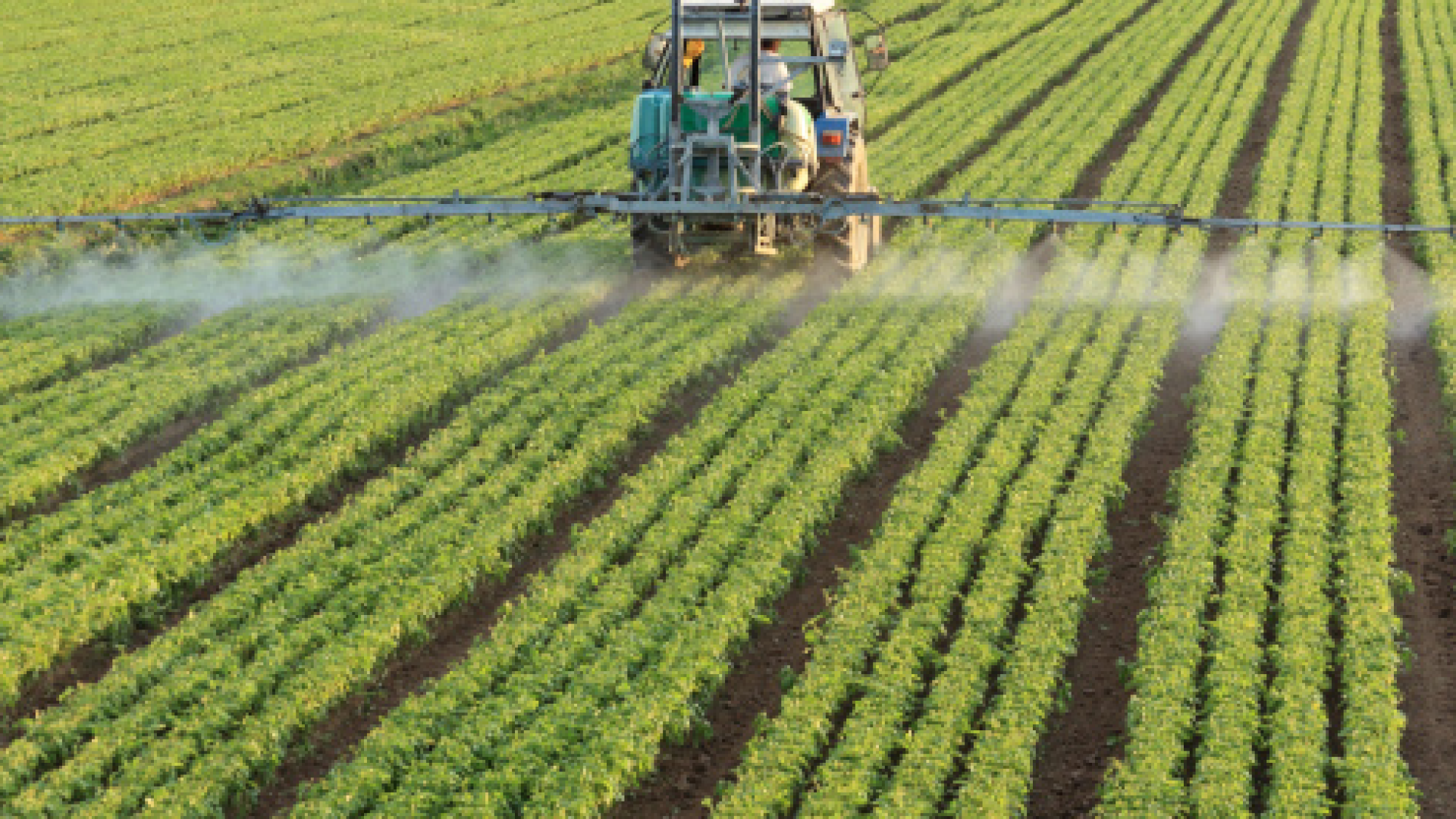 Bandi Psr per ambiente e clima: al via da Pianello gli incontri di Coldiretti