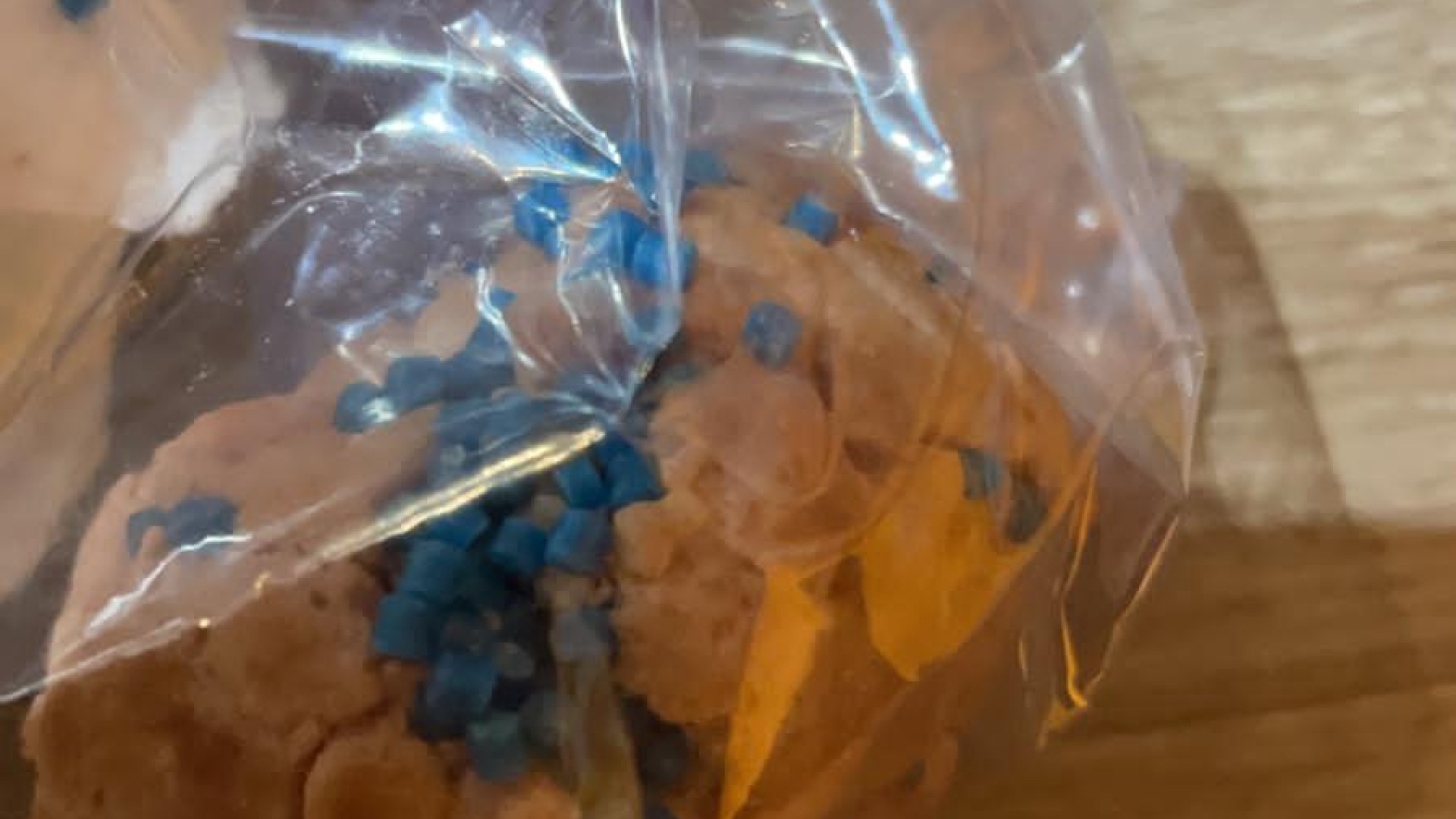 Esche avvelenate nel giardino di un'educatrice cinofila. Laika salva per miracolo