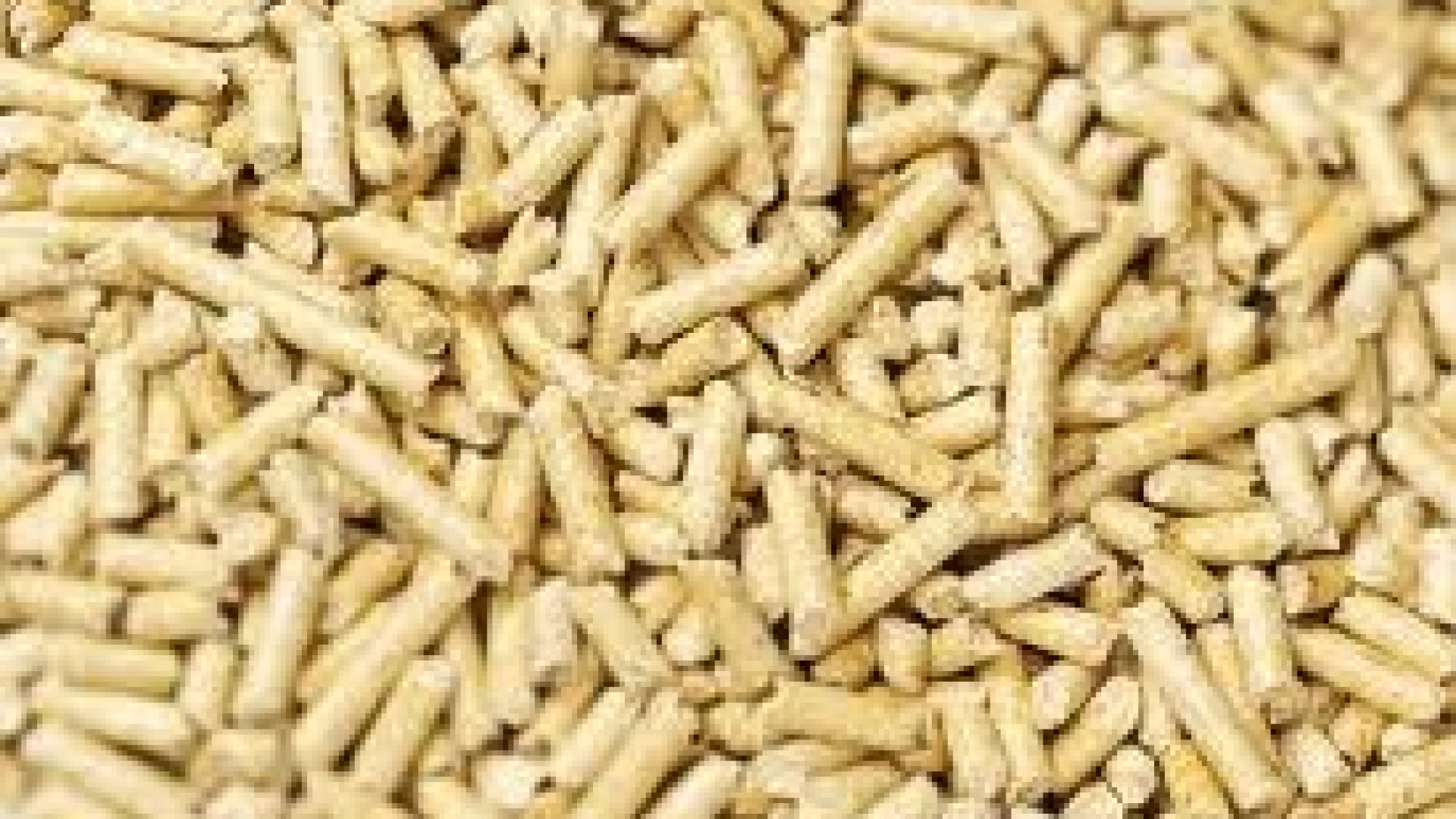 Ennesima truffa on line. Vittima un trentenne piacentino.