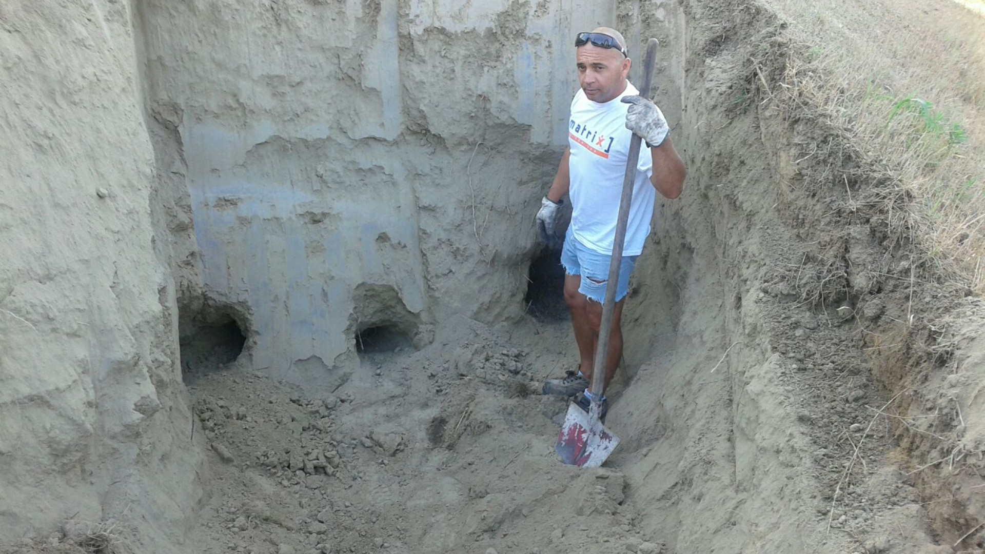Tane di animali, Aipo: "Sono pericolose, rischiano di far crollare l'argine in caso di piena"