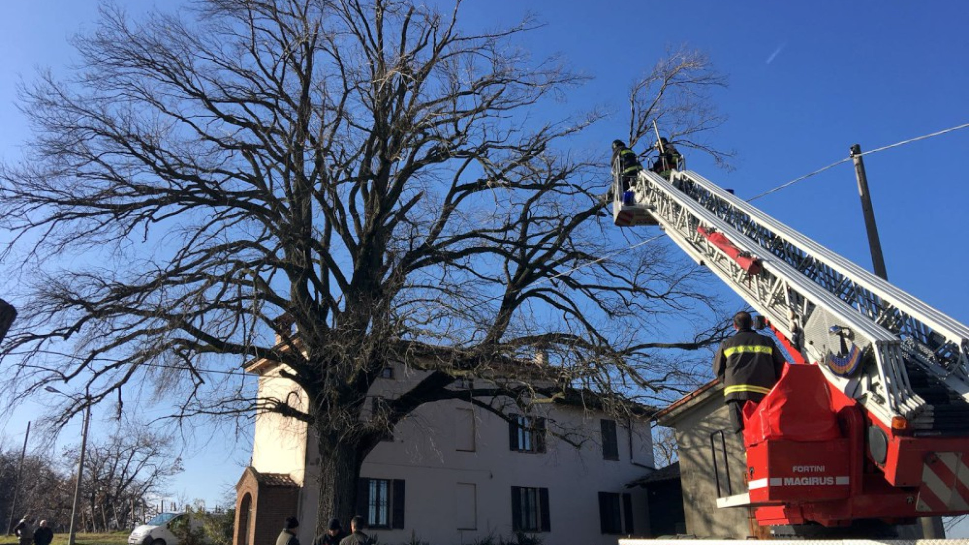 Storico olmo di Lugagnano in pericolo, appello del sindaco. Fino a 200mila euro di danni per paese