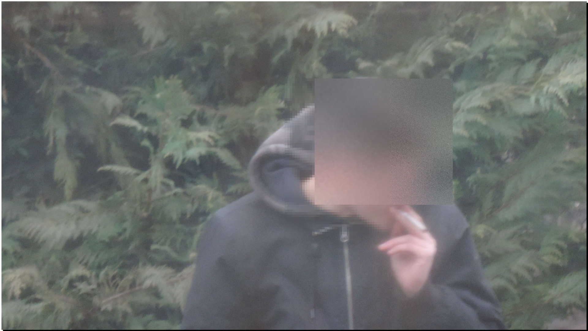 Droghe: nel 2018 segnalati alla prefettura 353 assuntori, quasi tutti uomini. Boom tra i 18enni