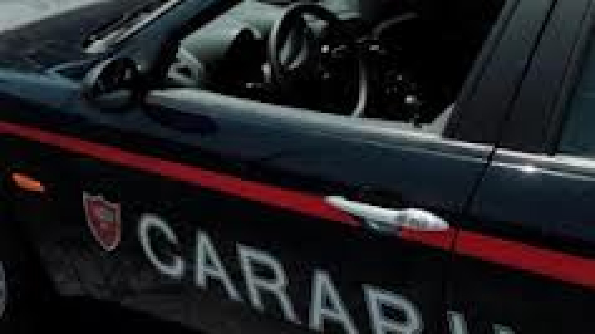 Fiorenzuola, colpo da 5000 euro al distributore, fuga dei ladri nei campi