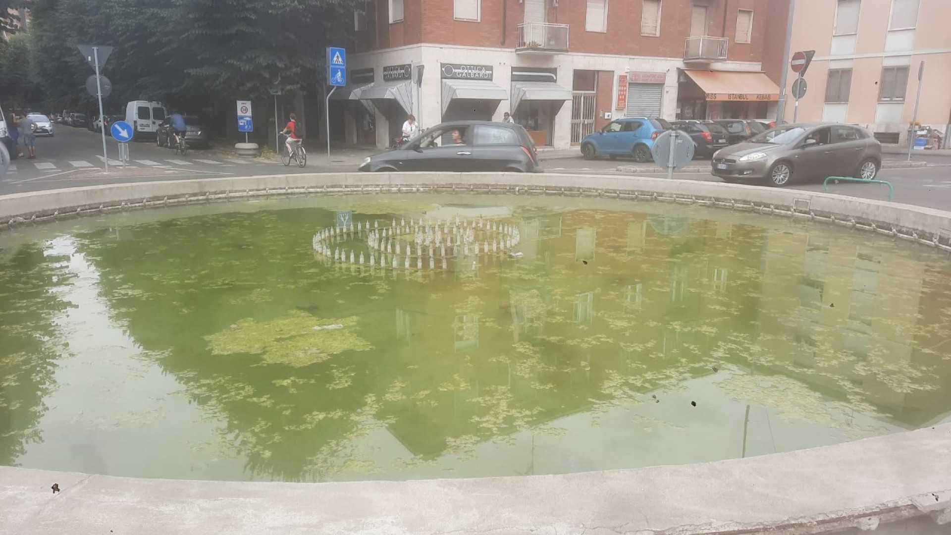 Viale Dante, commercianti lamentano: "Fontana con acqua ferma e sporca"