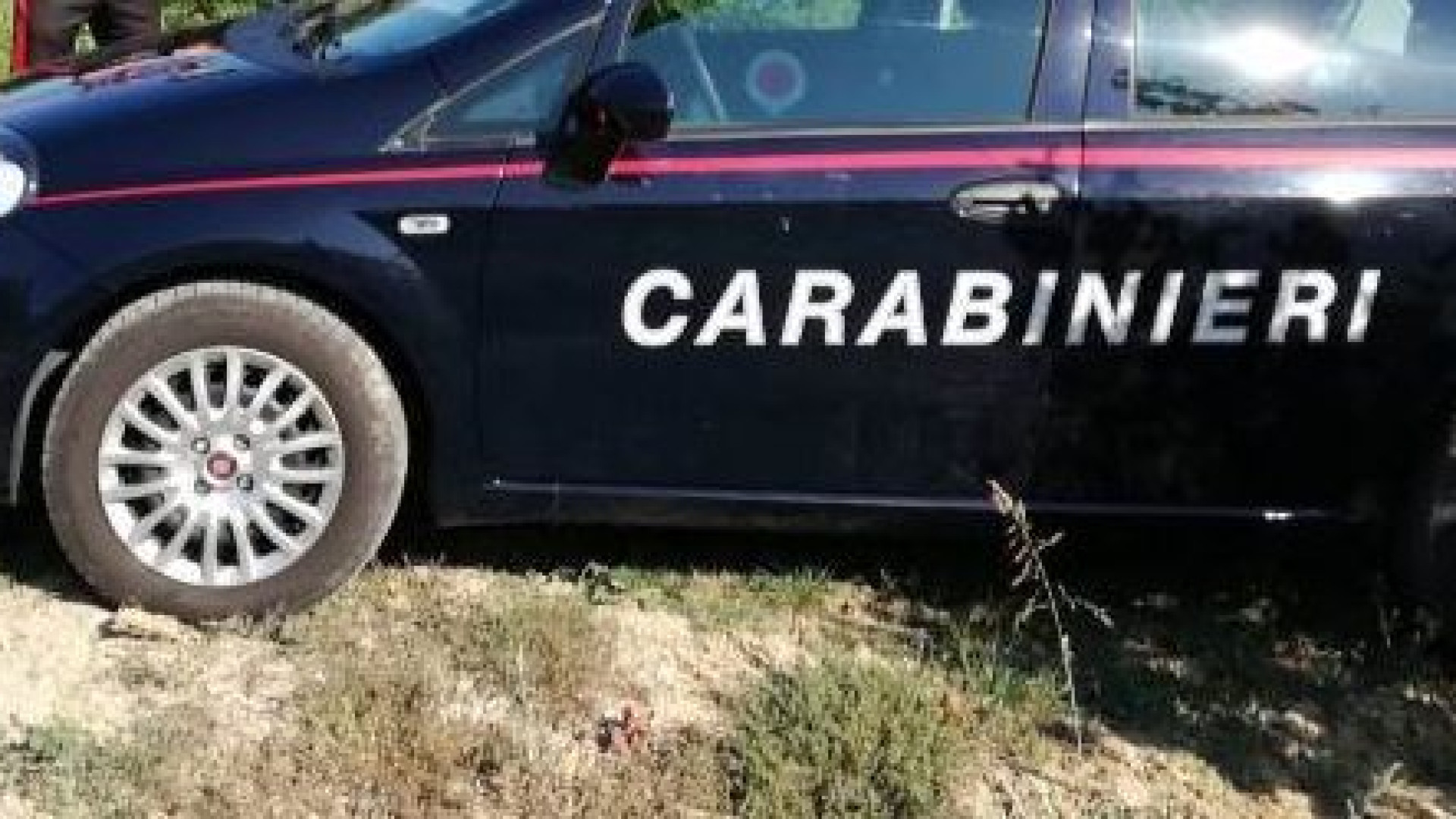 Caporalato, maxi-operazione nei campi piacentini: scoperti venti operai irregolari