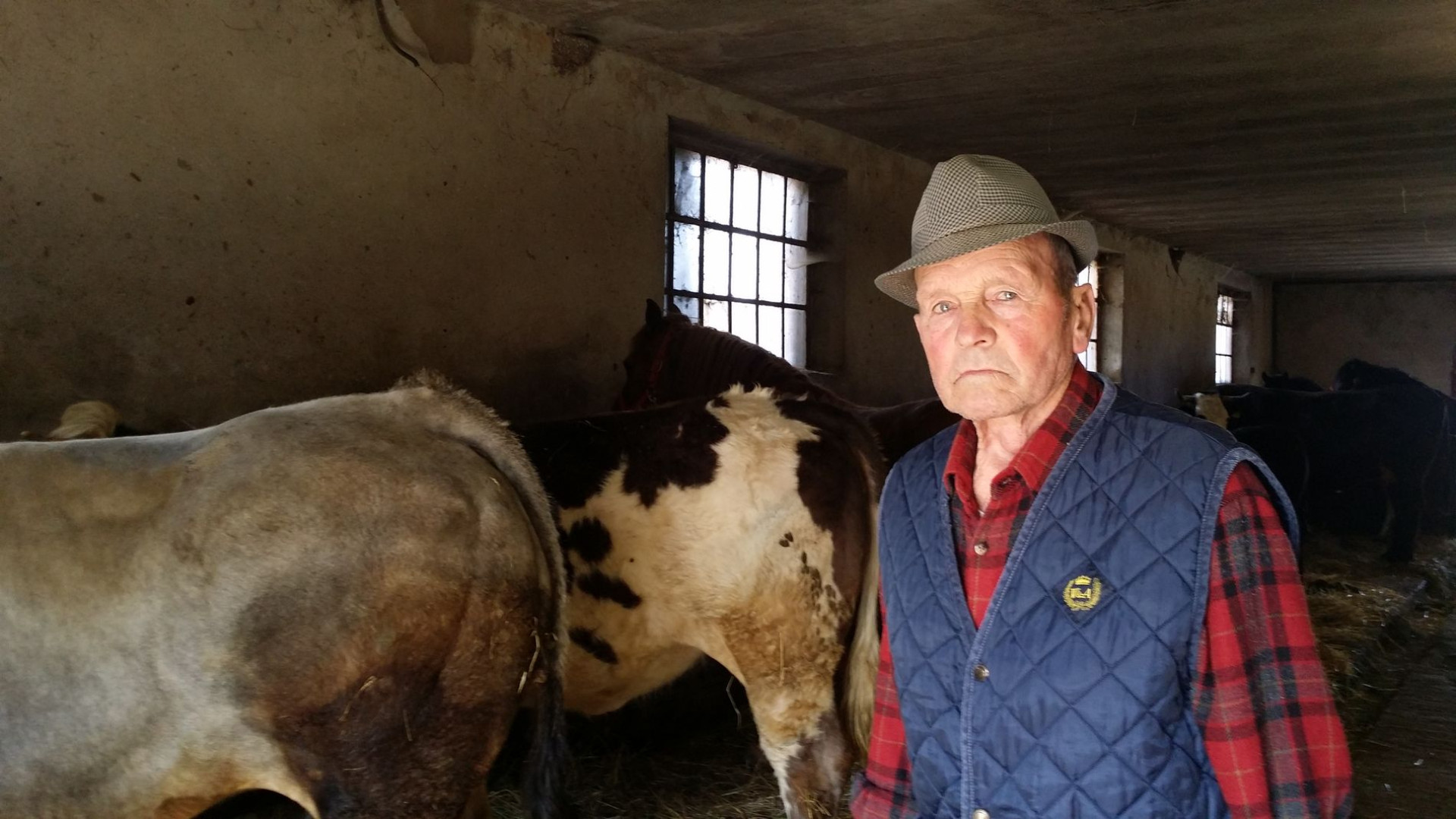 Casimiro Guglielmetti, l'ultimo domatore di buoi della provincia