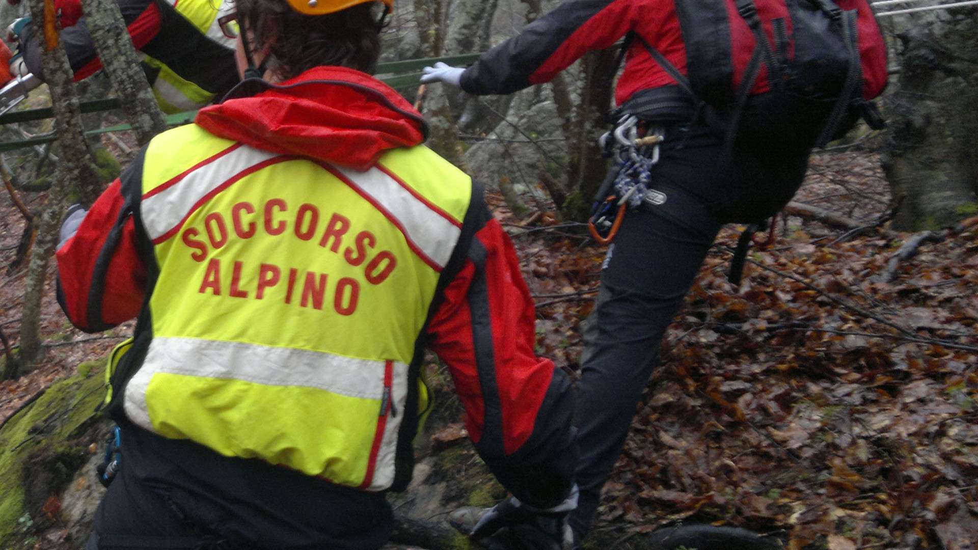 Donna scompare nel bosco: ritrovata dopo due ore di ricerche