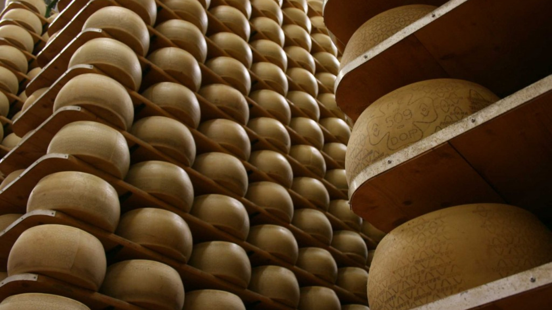 Grana Padano, Coldiretti: "Sul prezzo del latte accolte le nostre richieste"