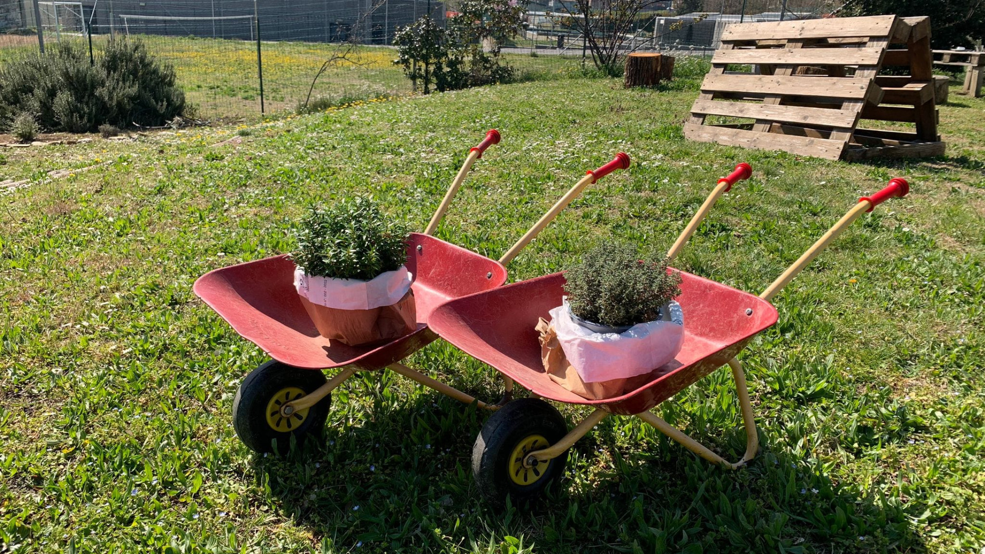 I nidi di montagna non sono poi così gratis, spunta il tetto del reddito. Coperto il 67%