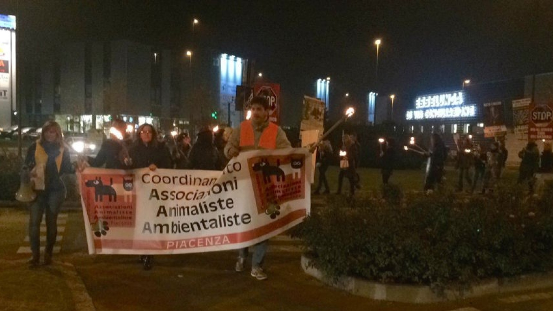 Le associazioni animaliste: "Approviamo il nuovo regolamento sui circhi"