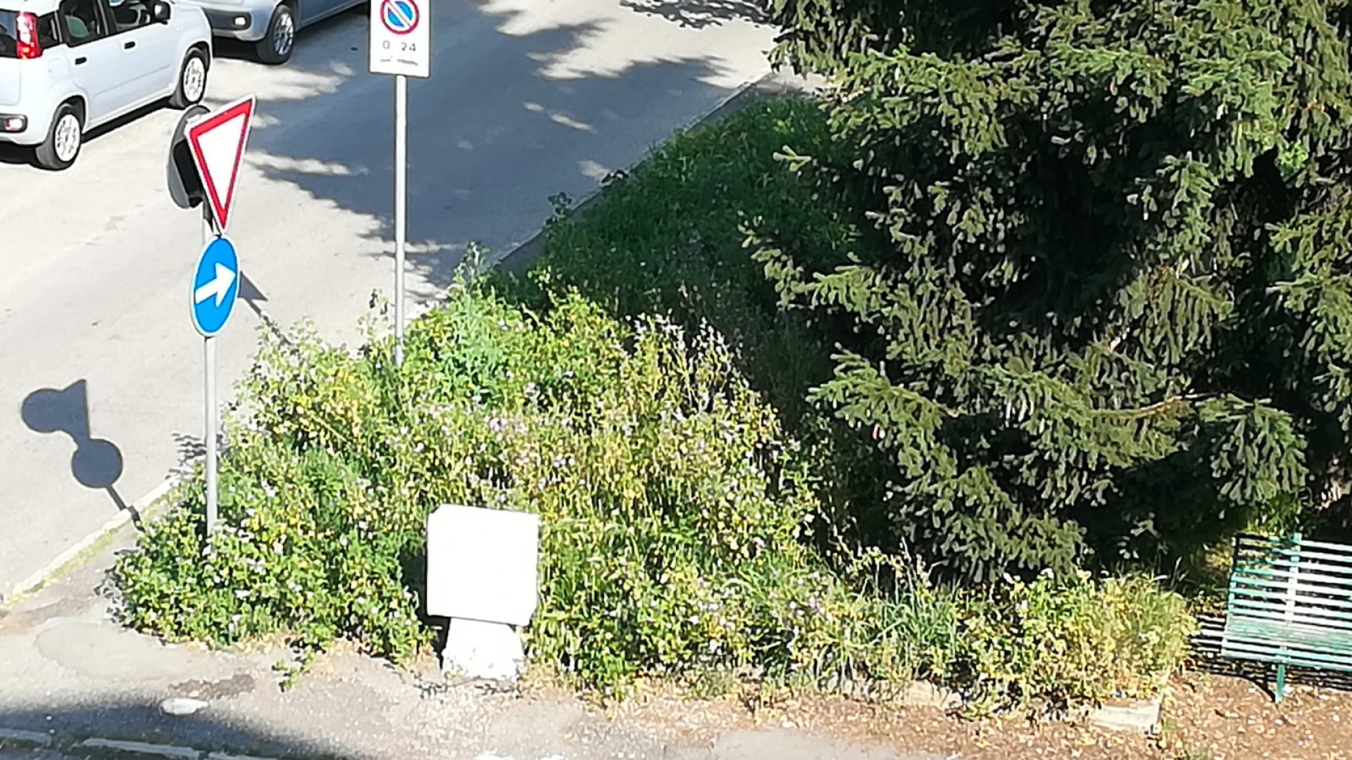 "Bambini divorati dalle zanzare per colpa dell'erba alta". La lettera-denuncia di un papà