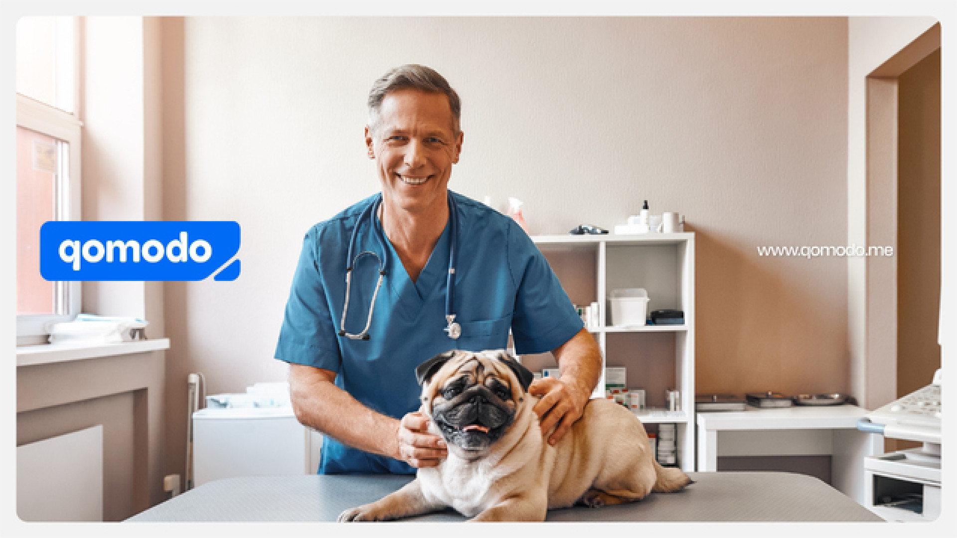 Caro vita: l'aumento dei costi colpisce anche le cure per gli animali domestici