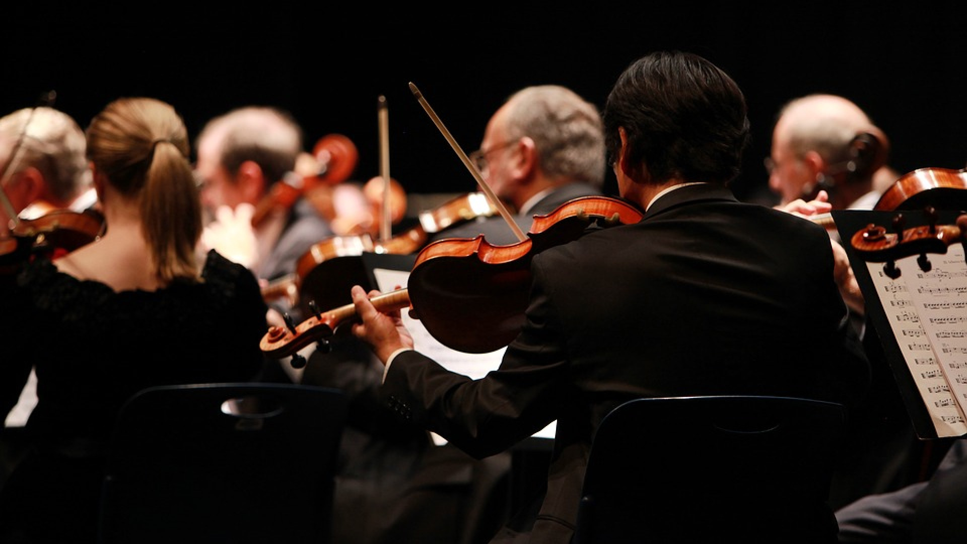 Perseguitò direttore d’orchestra, assolta per incapacità d’intendere e volere
