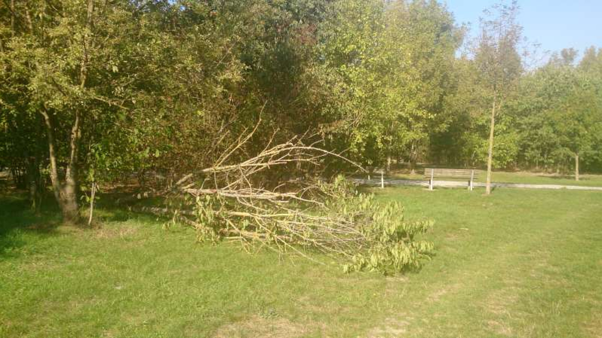 "Sempre degrado al parco Montecucco. Stessa situazione da mesi"