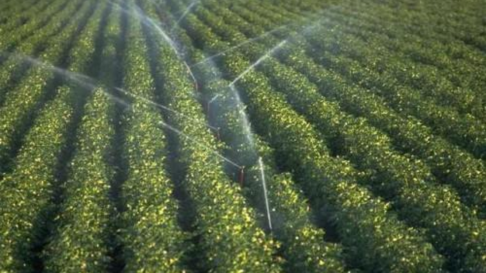 Acqua dai campi sulle strade: pericolo per i motociclisti. Multati due agricoltori