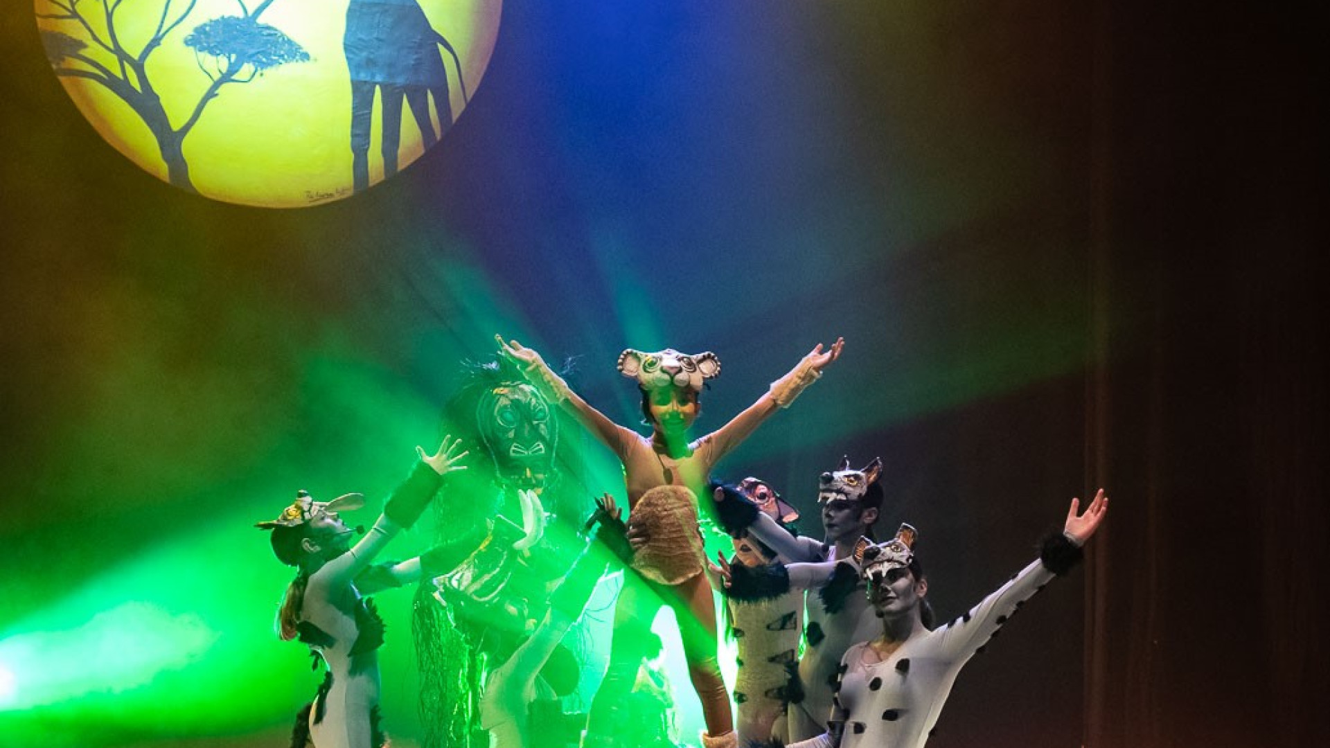 Stagione teatrale a Fiorenzuola, il 2022 si chiude con 'Hakuna Matata'