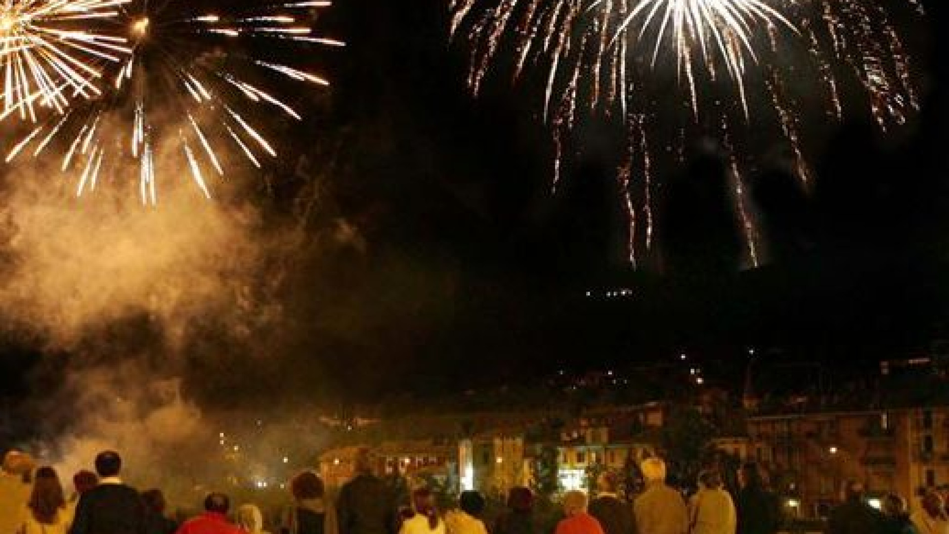 Botti di Capodanno, gli accorgimenti per gli animali domestici