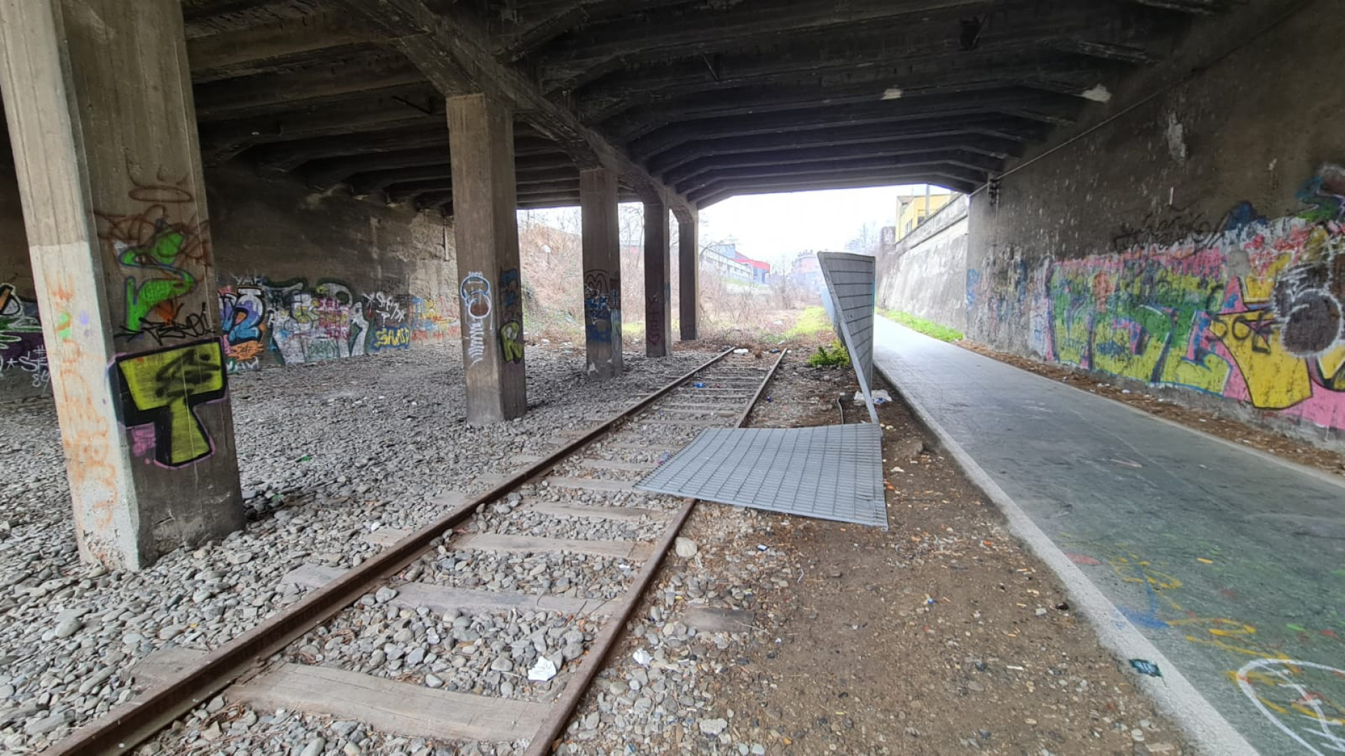 Ciclabile di viale Patrioti, l'assessore: "Entro l'anno via i binari e nuovo verde"