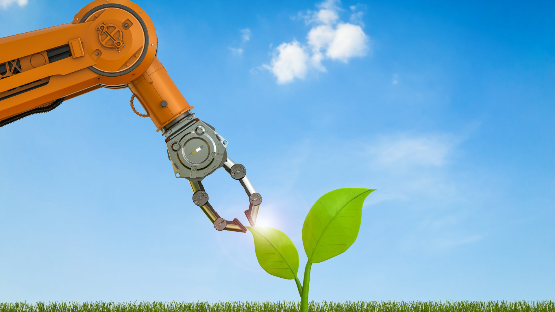 Fitoestrazione, quando le piante immagazzinano metalli pesanti