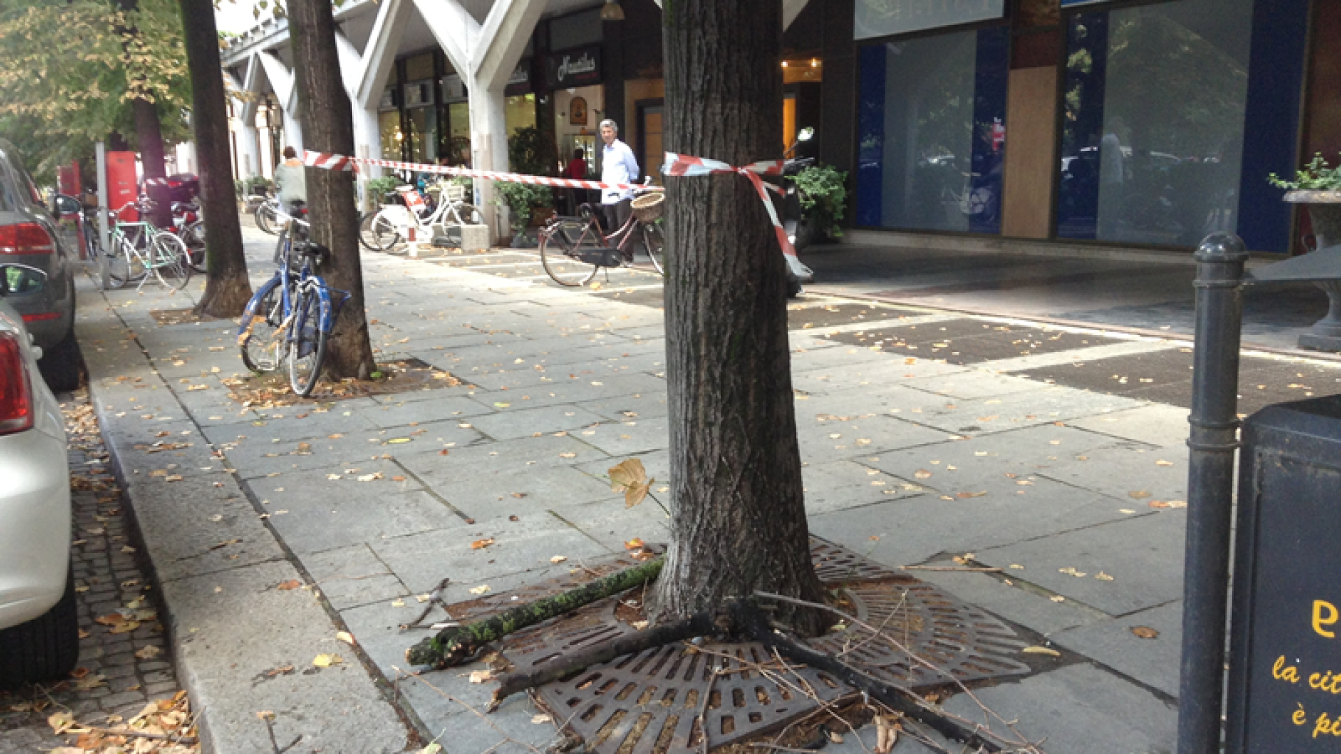 Cade un ramo in viale dei Mille, danneggiata un auto. Iren verifica lo stato degli alberi
