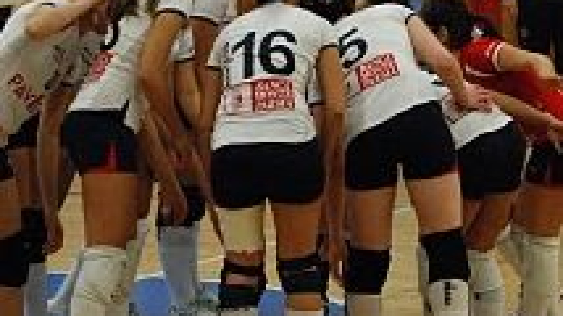 Volley B2 femminile: lunedi 24 riparte la Pavidea Steeltrade