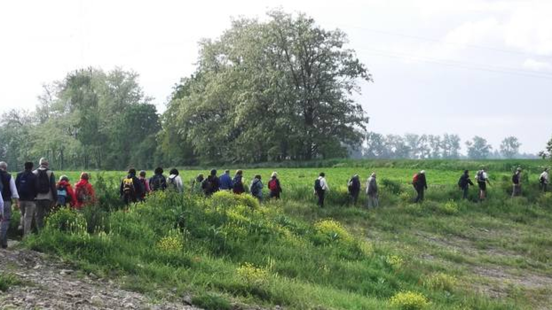Gruppi di cammino per la terza età, il Comune cerca un gestore. Domande entro il 27