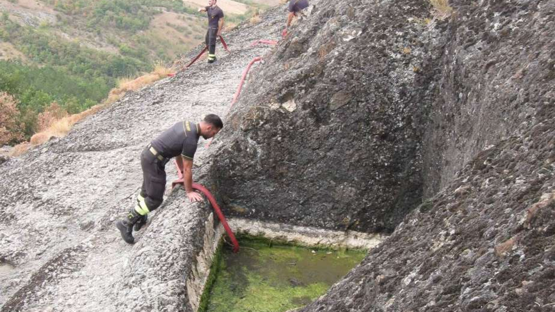 Vasca della Perduca a secco, tritoni in pericolo: arrivano i vigili del fuoco con l'acqua