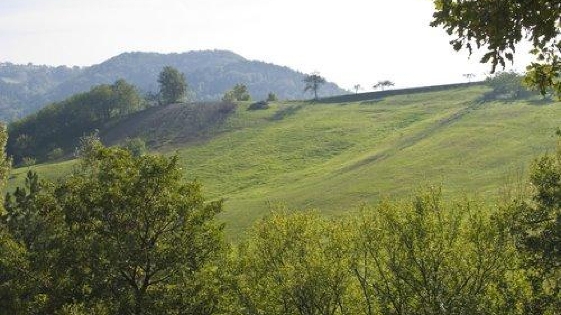 Confagricoltura Piacenza soddisfatta per il rinvio dell'applicazione dell'Imu